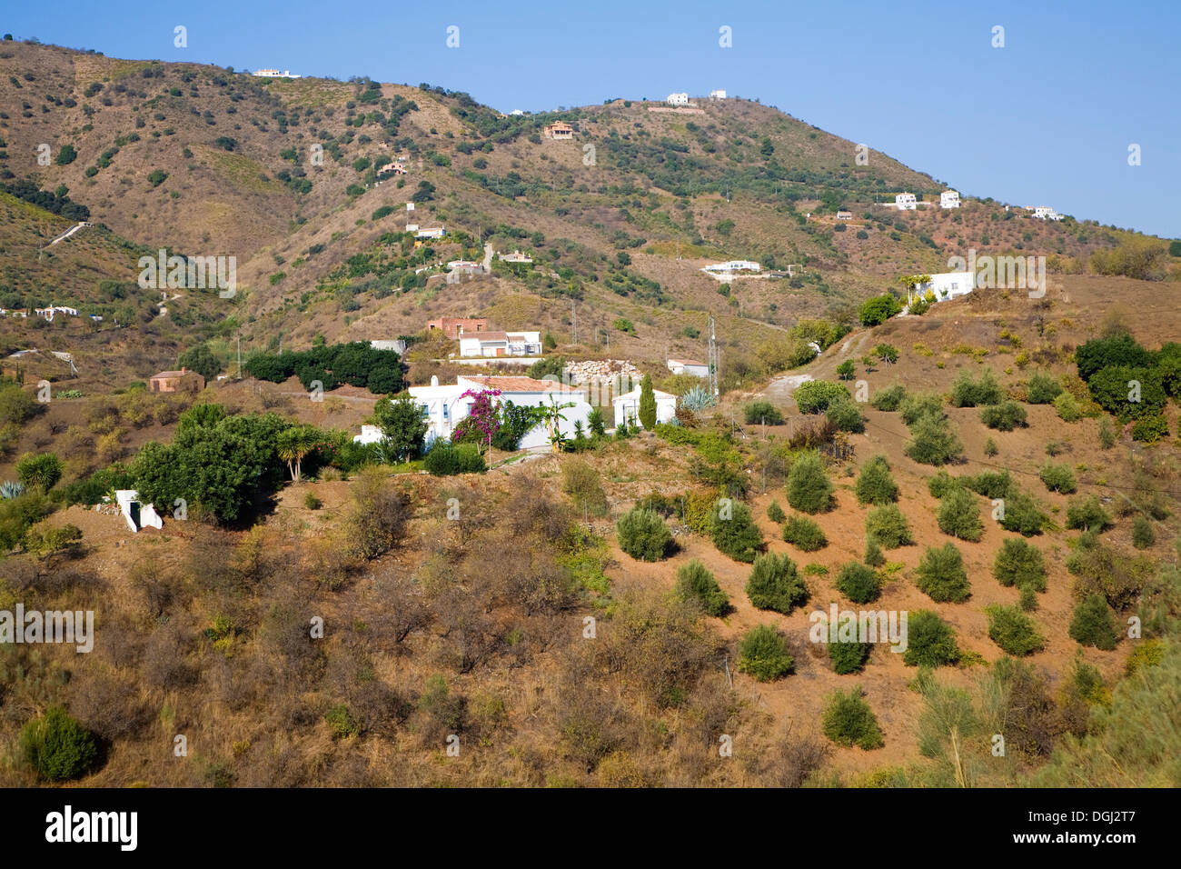 Vue sur campagne environnante de fermes près du village Maure de Comares, la province de Malaga, Espagne Banque D'Images