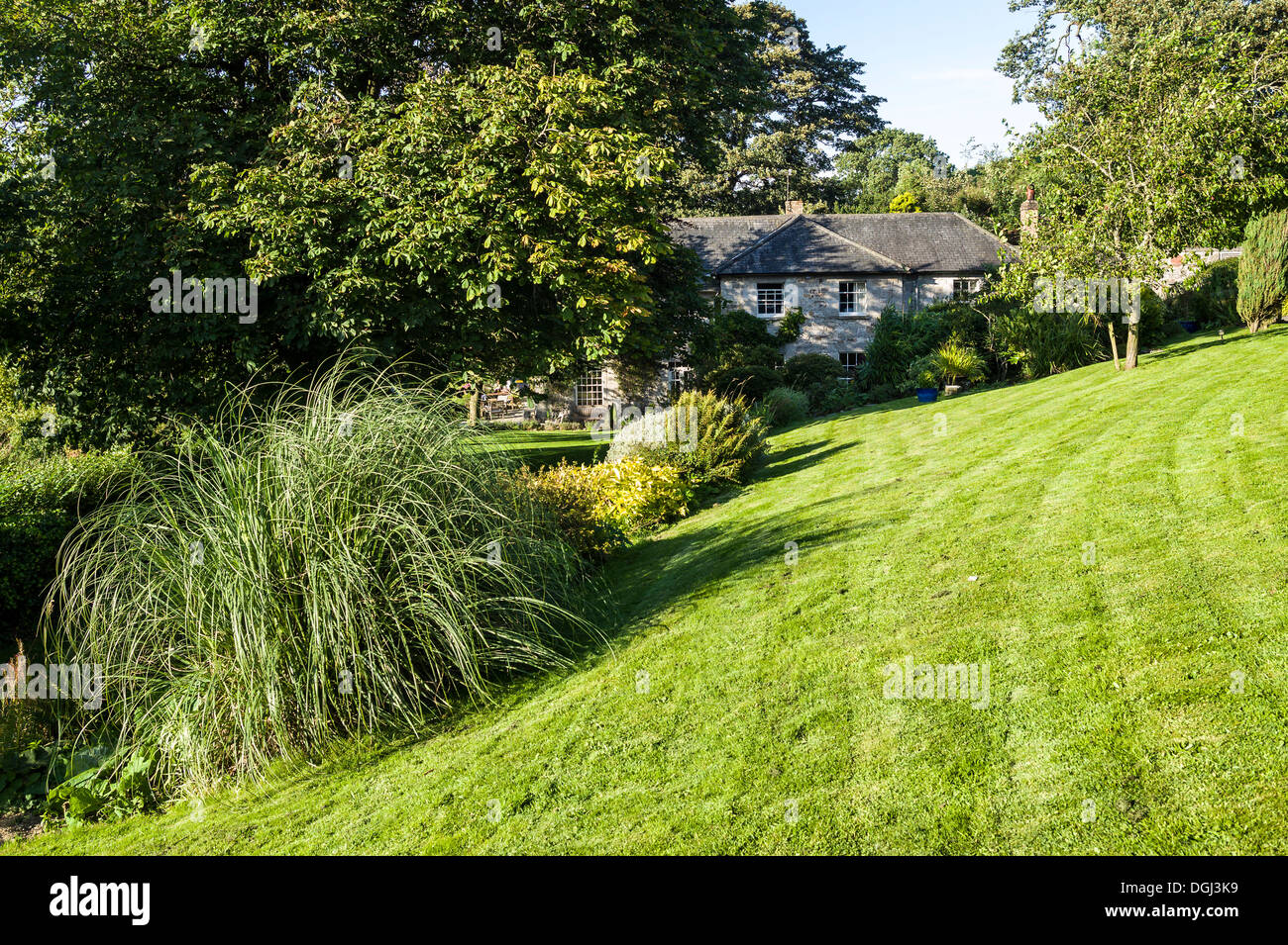 Une pelouse en pente et l'herbe de la pampa dans parc de l'hôtel dans Shropsire UK Banque D'Images