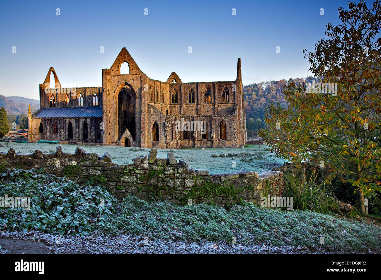 Une vue de l'abbaye de Tintern. Banque D'Images
