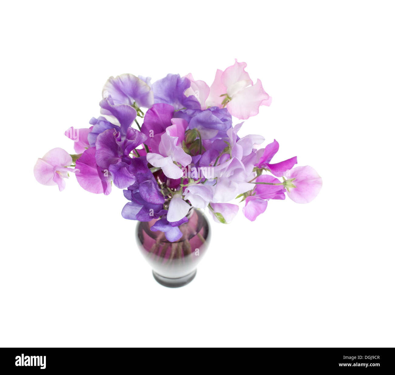 Petit Vase pourpre avec l'arrangement de fleurs de pois sucré Banque D'Images