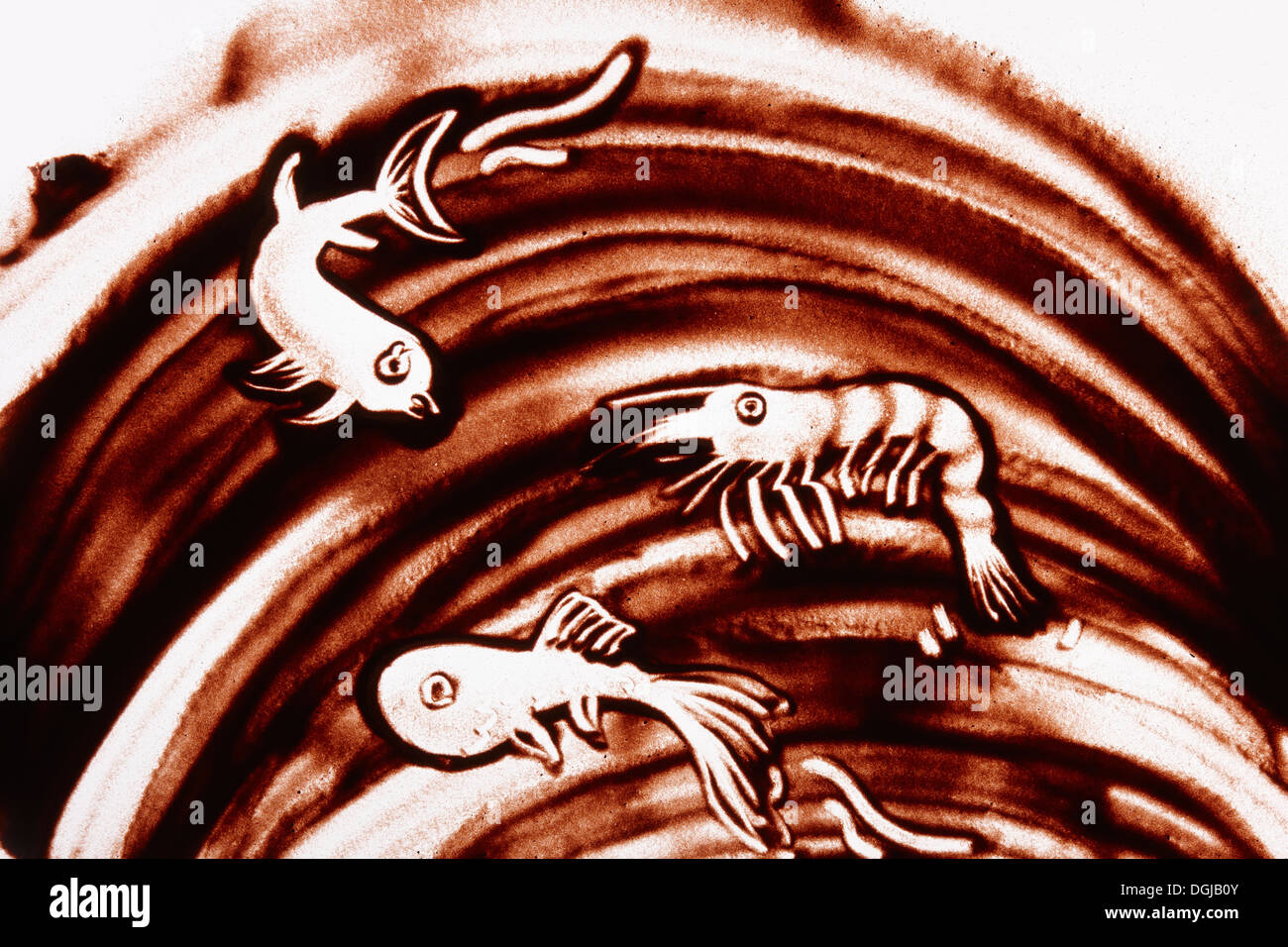 Un dessin sur sable de crevettes et de poissons dans la mer Banque D'Images