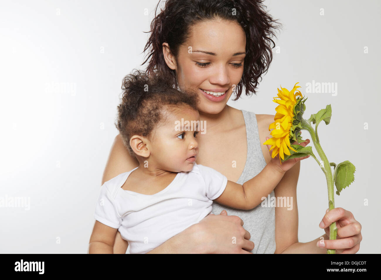 Baby Girl touching sunflower tenue par mère en studio Banque D'Images