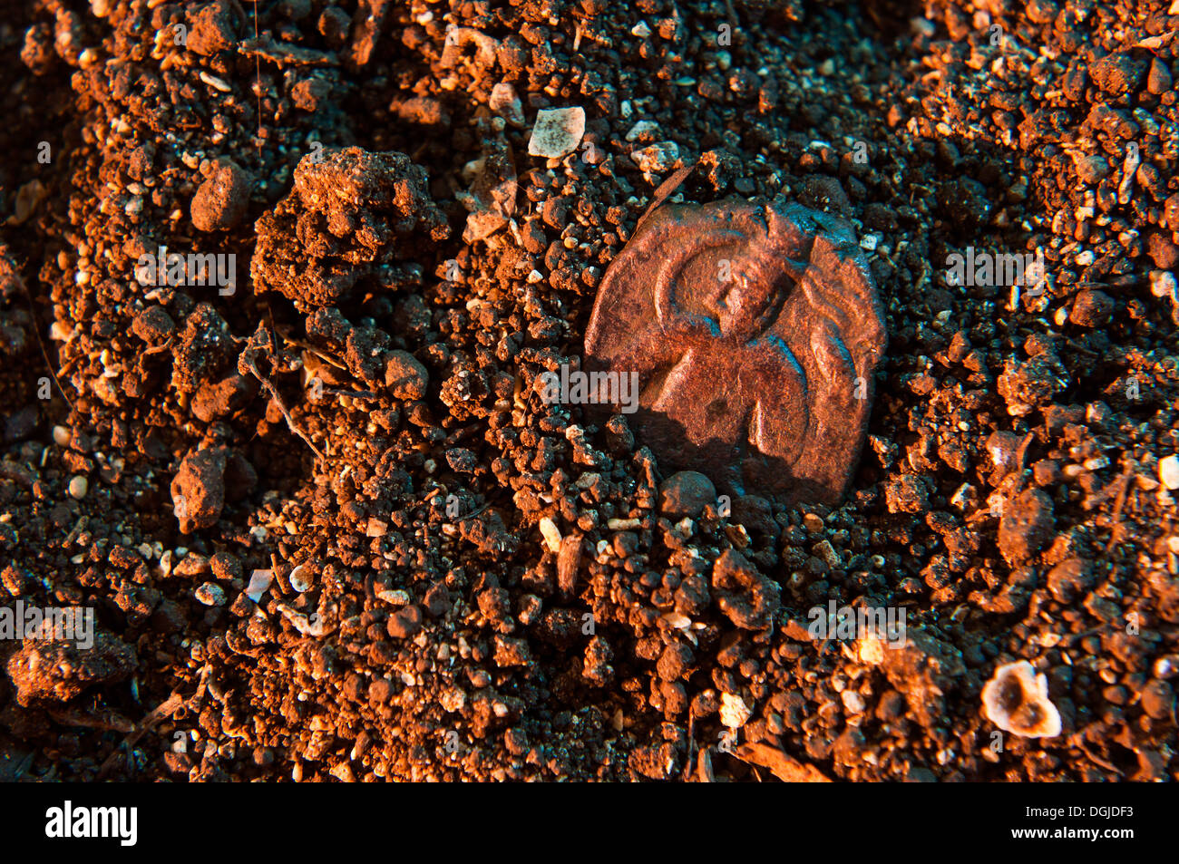 L'indo-grec empire kushan coins en studio Banque D'Images