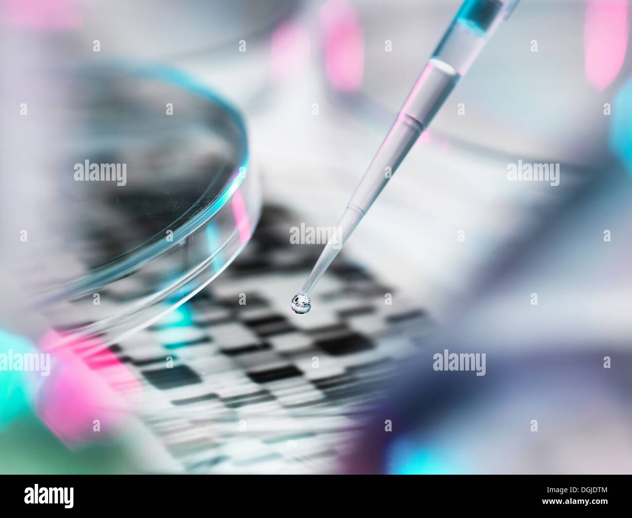 L'échantillon d'ADN à la pipette dans la boîte de pétri avec gel d'ADN en arrière-plan Banque D'Images