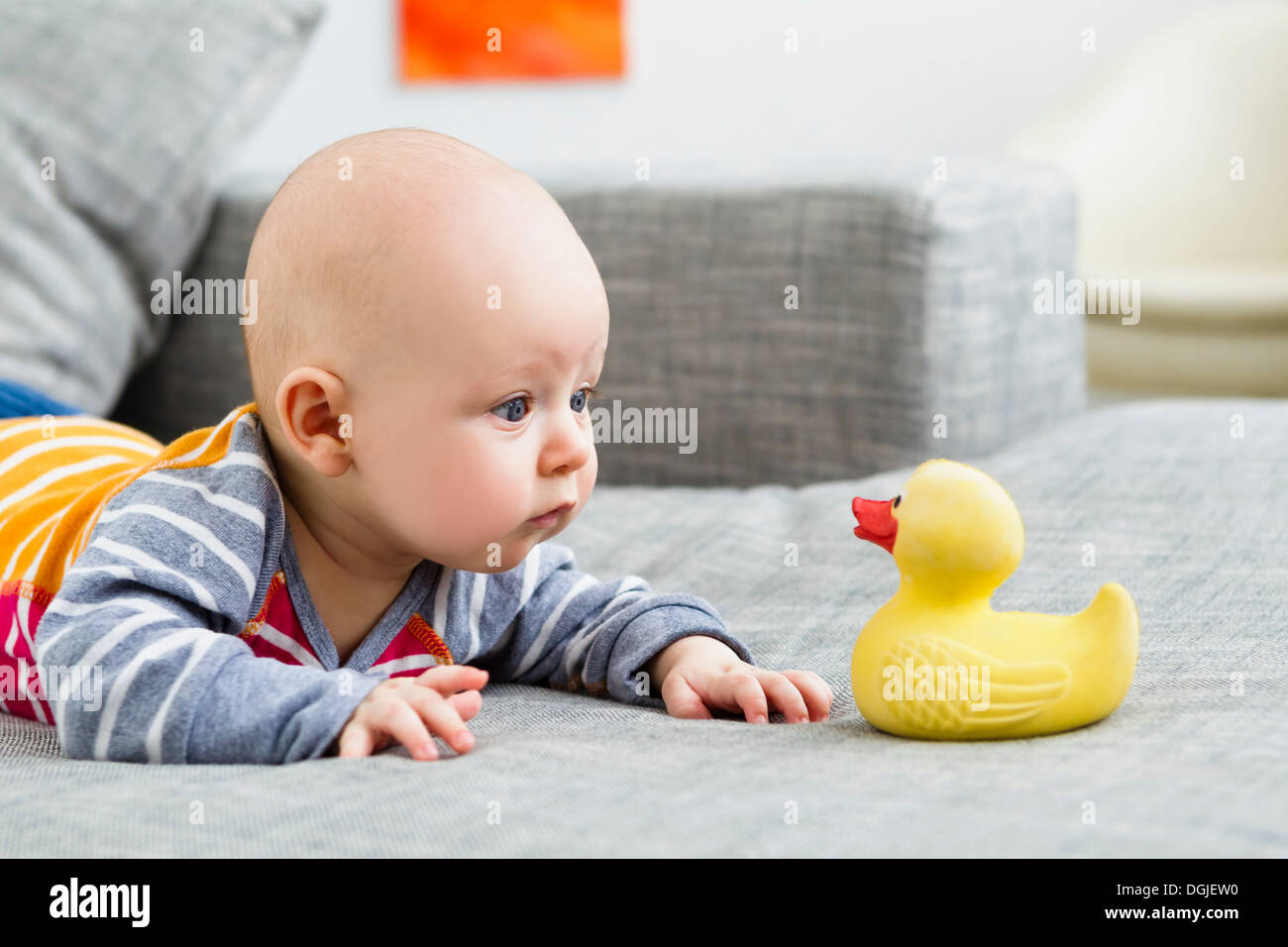 Bébé garçon regardant le canard en caoutchouc Banque D'Images