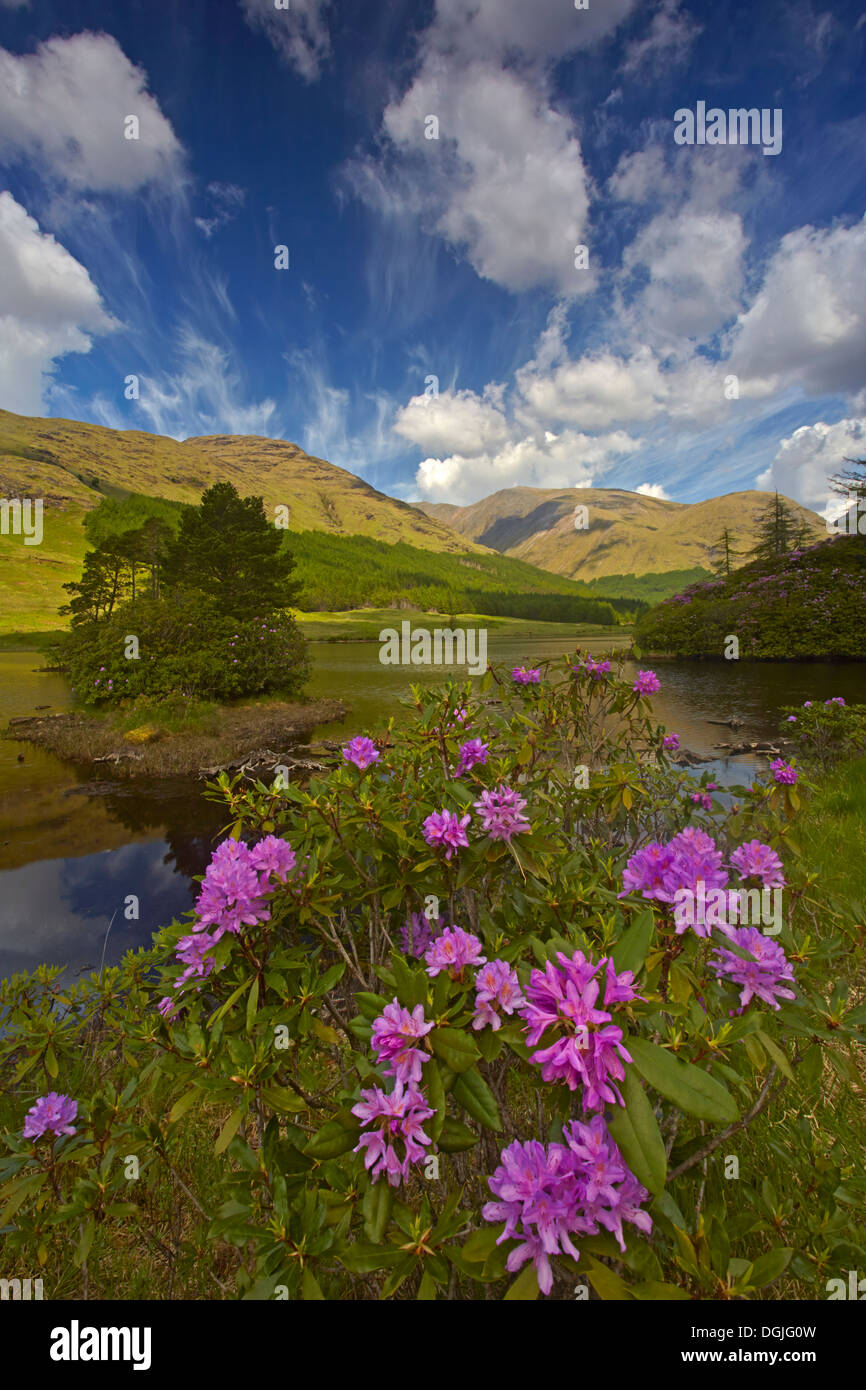 Une vue de Lochan Urr dans Glen Etive. Banque D'Images