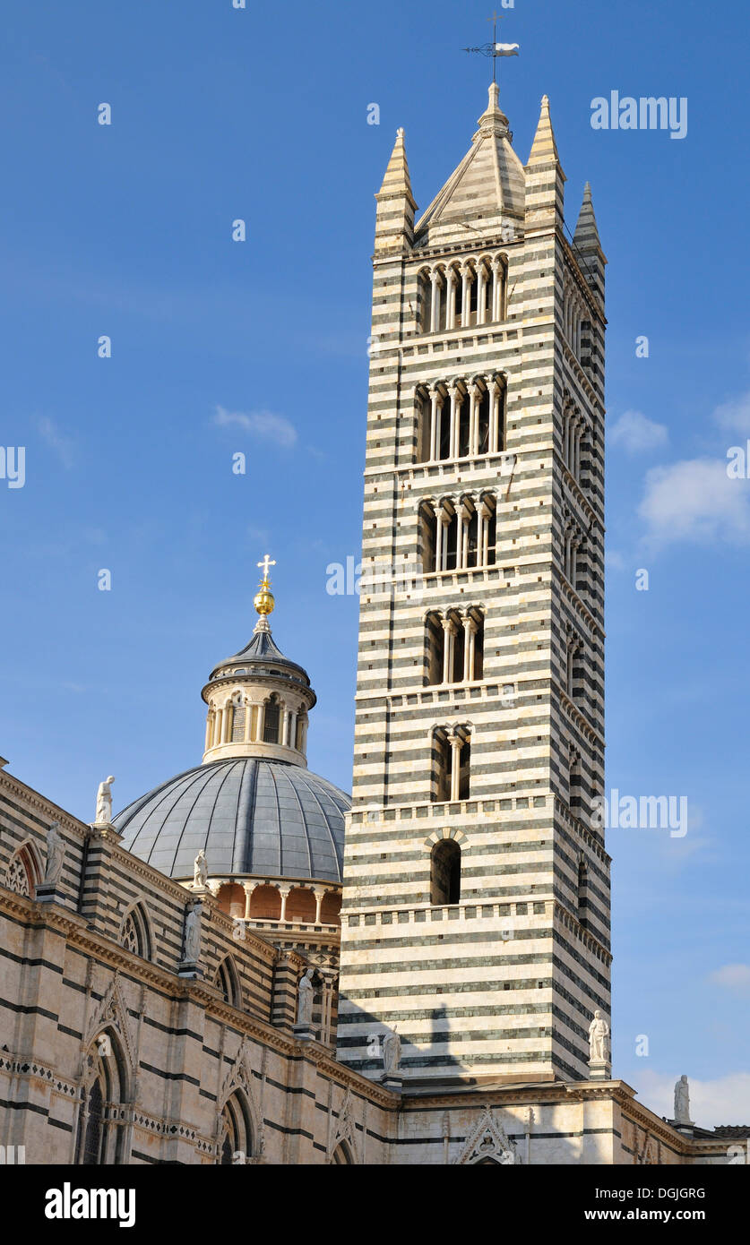 La Cathédrale de Sienne, Duomo Santa Maria Assunta, Sienne, Toscane, Italie, Europe Banque D'Images