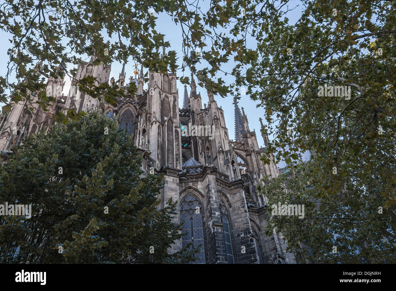 La cathédrale de Cologne, du côté nord, vue à travers le feuillage, Köln Rheinland, Cologne, Rhénanie du Nord-Westphalie, Allemagne, Banque D'Images