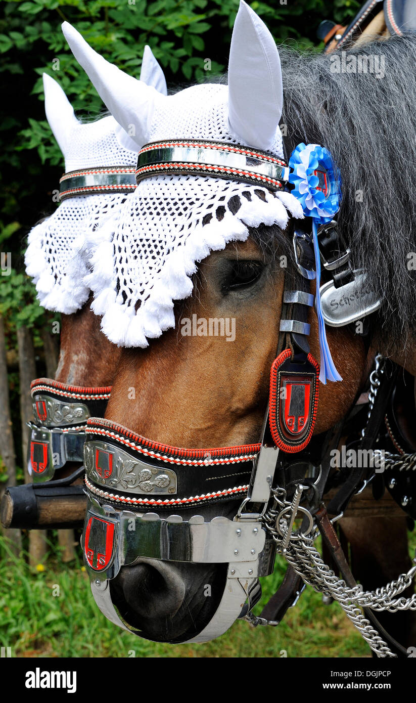 Décoration de fête du cheval Spatenbrauerei Brewery, défilé en costume traditionnel au festival en Loisachgaufest Banque D'Images