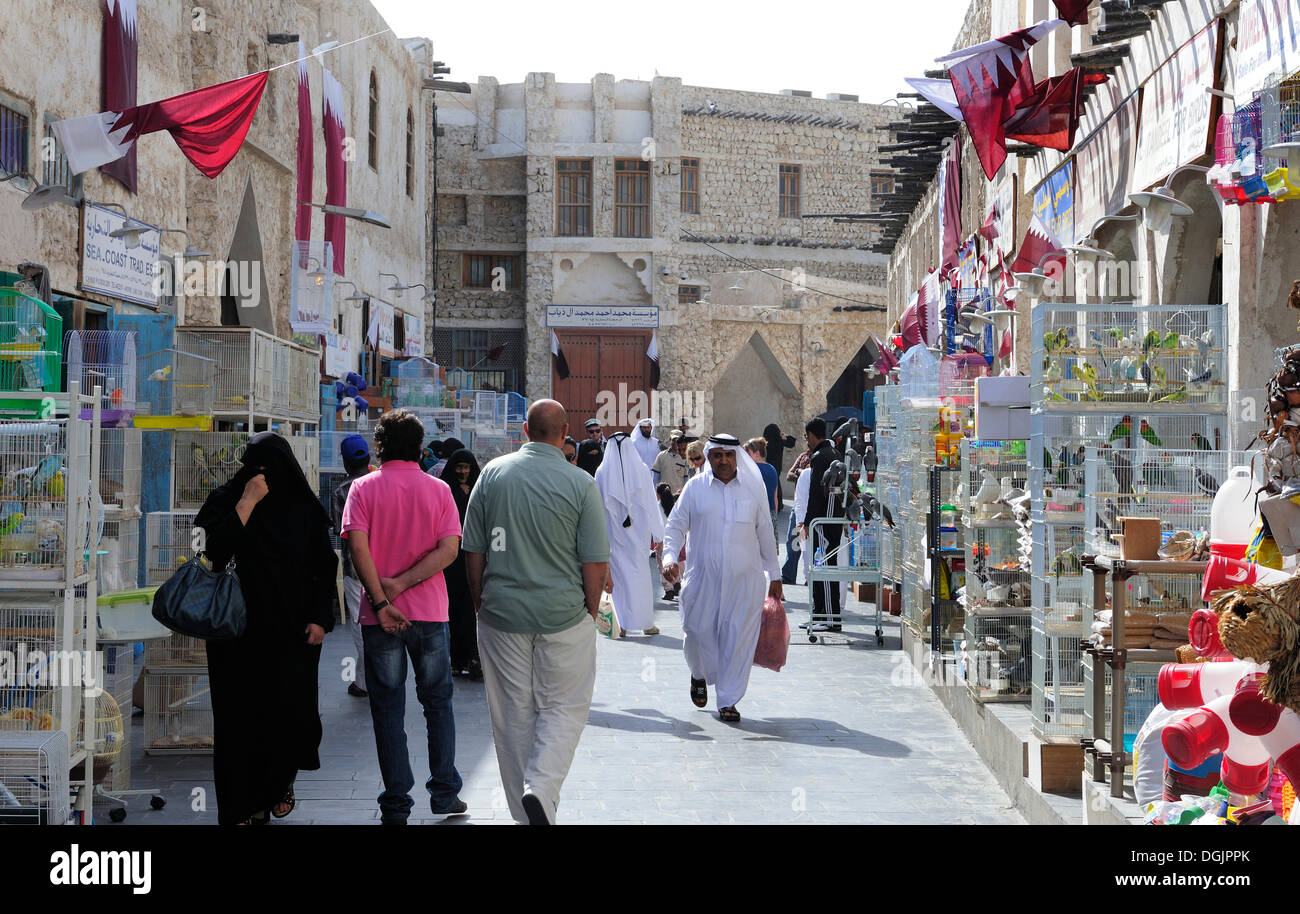 Le marché des animaux à Souk al souq Waqif, le plus vieux bazar ou dans le pays, Doha, Qatar, Péninsule Arabique, du Golfe Persique Banque D'Images