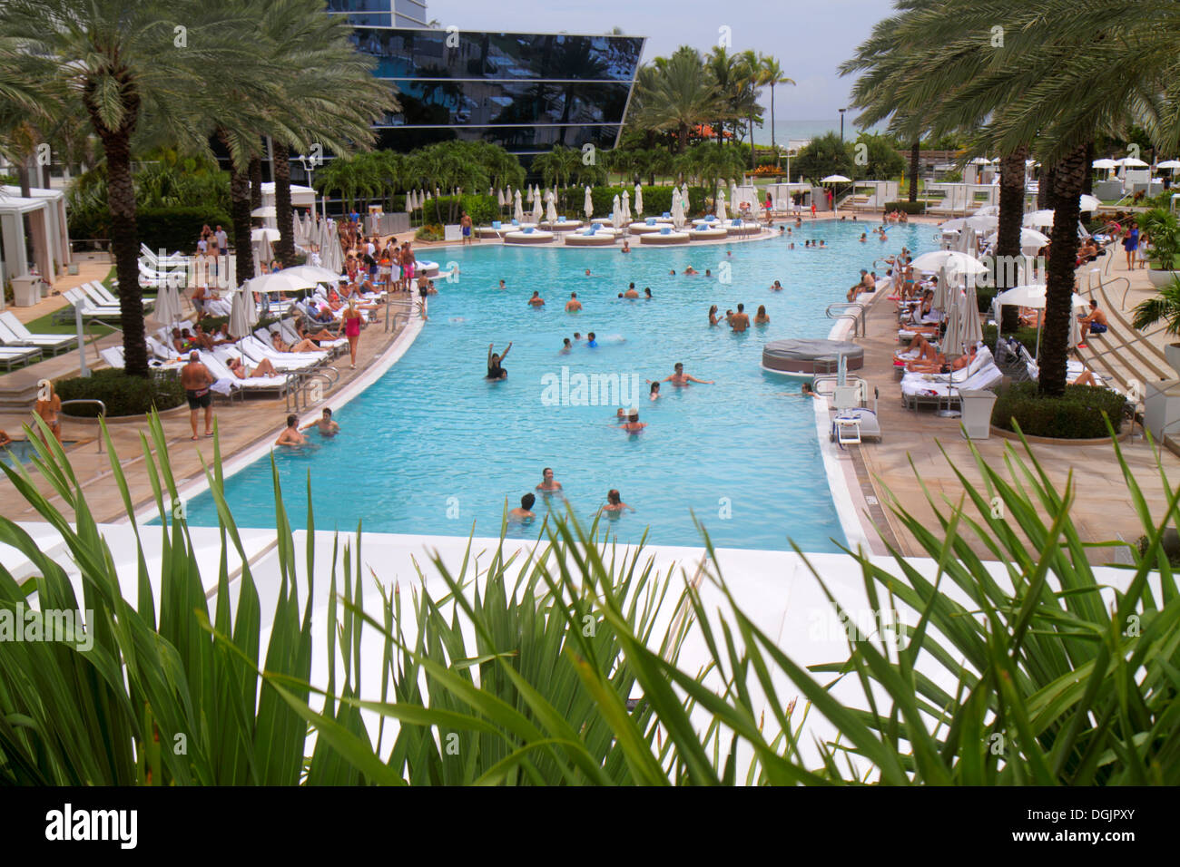 Fontainebleau Hotel Pool Photos Fontainebleau Hotel Pool Images