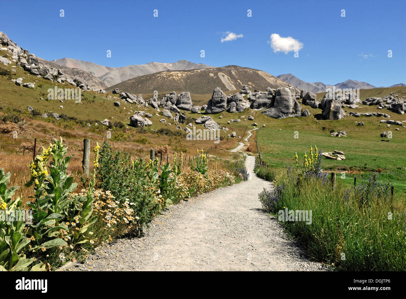 Sentier de la colline du Château des roches calcaires, Kura Tawhiti Conservation Area, District de Selwyn, île du Sud, Nouvelle-Zélande Banque D'Images
