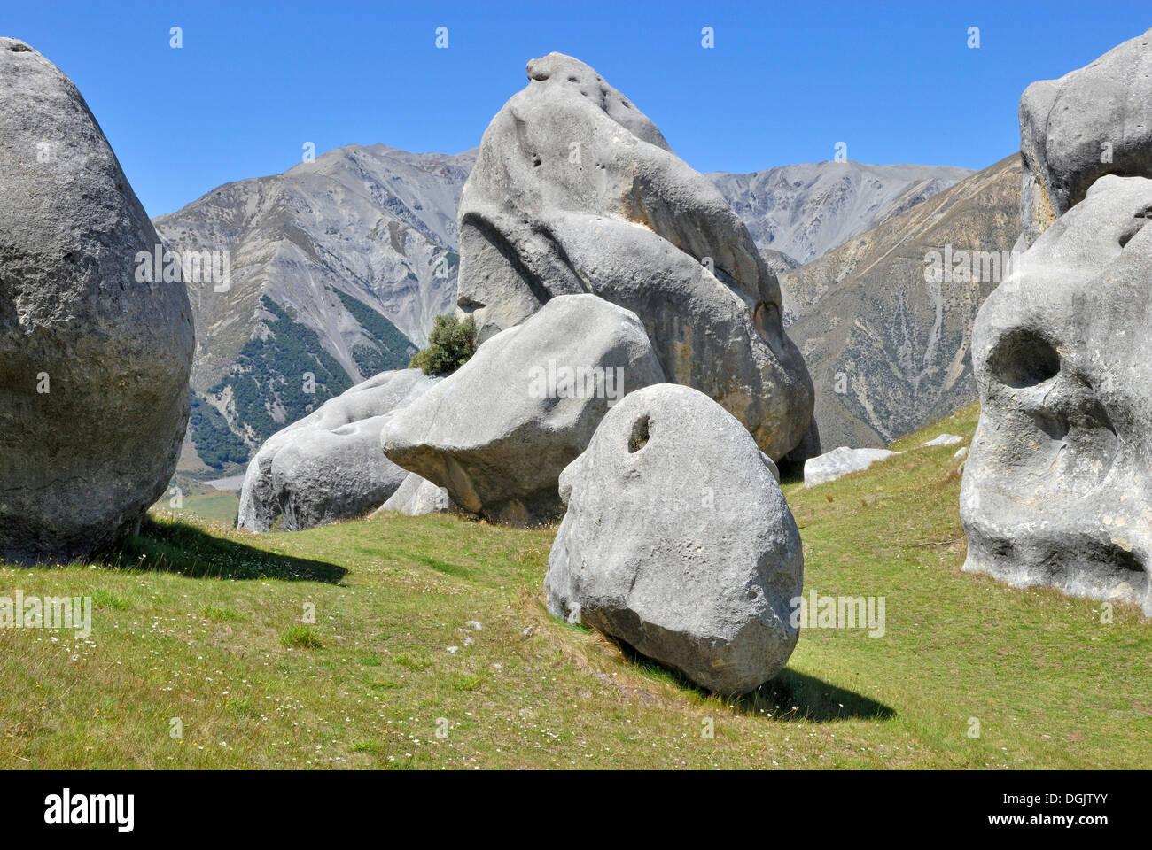 La formation de calcaire dans la colline du Château des roches calcaires, Kura Tawhiti Conservation Area, District de Selwyn, île du Sud Banque D'Images