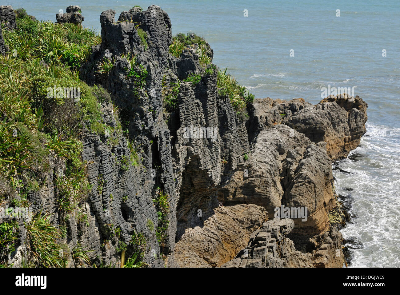 Pancake Rocks, Paparoa National Park, côte ouest, Mer de Tasmanie, île du Sud Banque D'Images