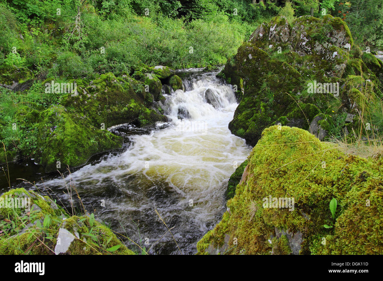 Rapids blancs de l'eau sur la rivière Tweed, Borders, Scotland, UK Banque D'Images