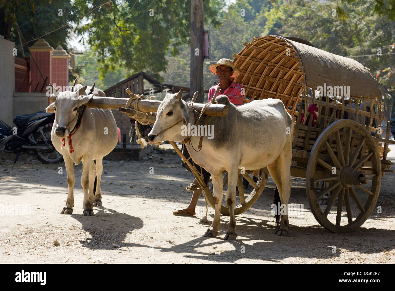 État de l'art service de taxi à Mingun au Myanmar. Banque D'Images