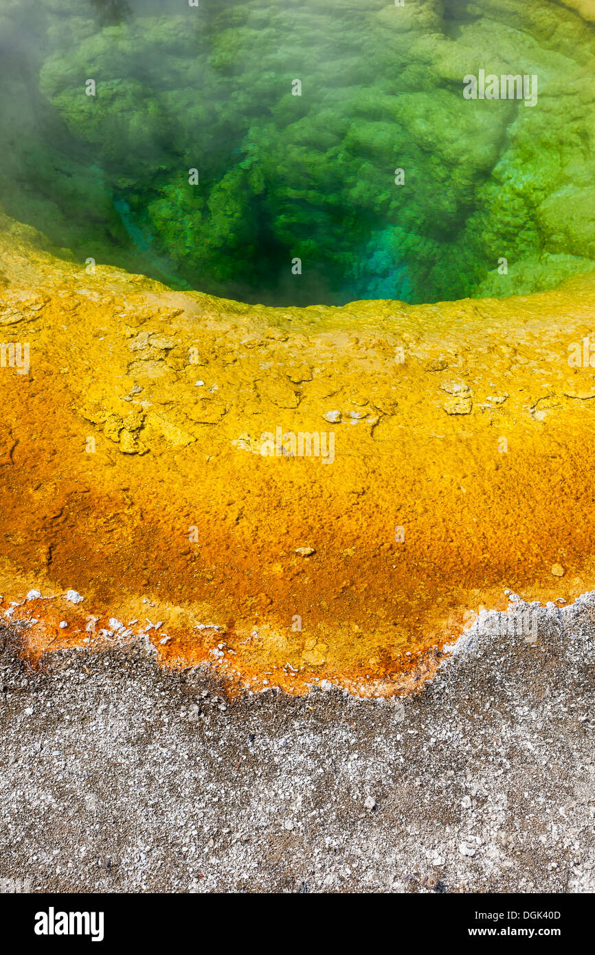 Gloire du matin dans la piscine Geyser Basin, Parc National de Yellowstone, Wyoming Banque D'Images