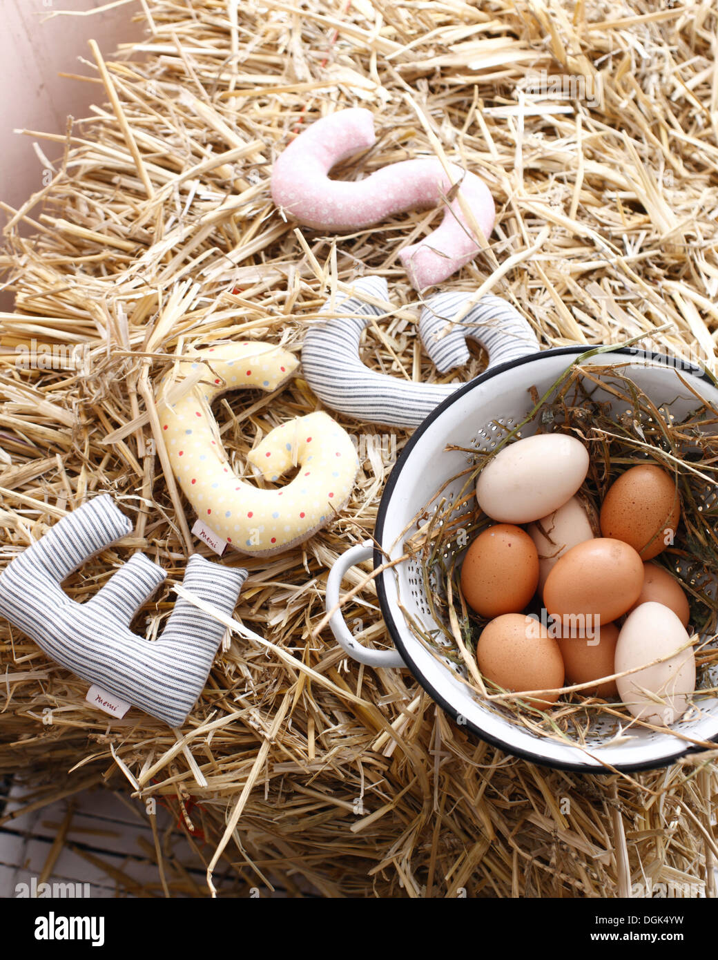 La vie encore d'œufs biologiques in colander Banque D'Images