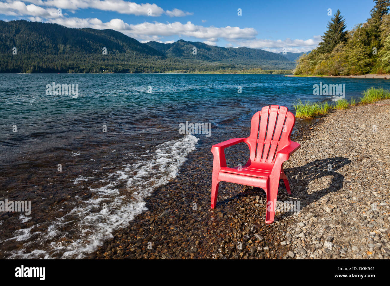 Chaise adirondack vide sur la rive du lac Quinault, Olympic National Park Banque D'Images