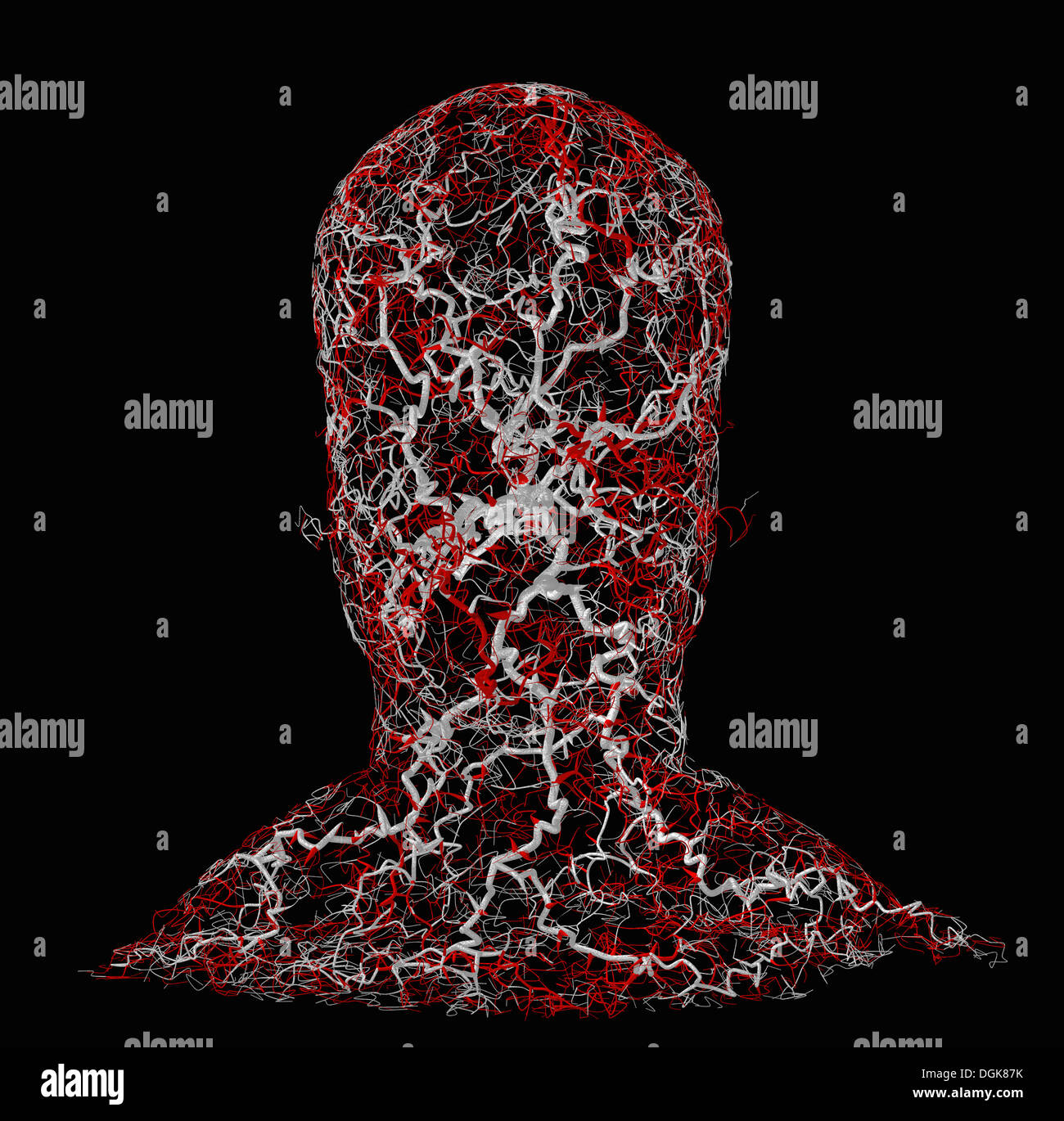 Tête humaine avec un système fractal de vaisseaux sanguins Banque D'Images