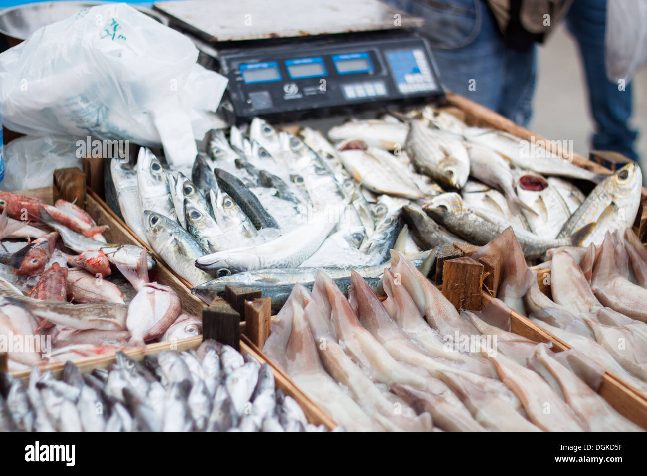 Marché de poissons de "conteneurs" poisson frais 'boîtes' échelles vendre Banque D'Images