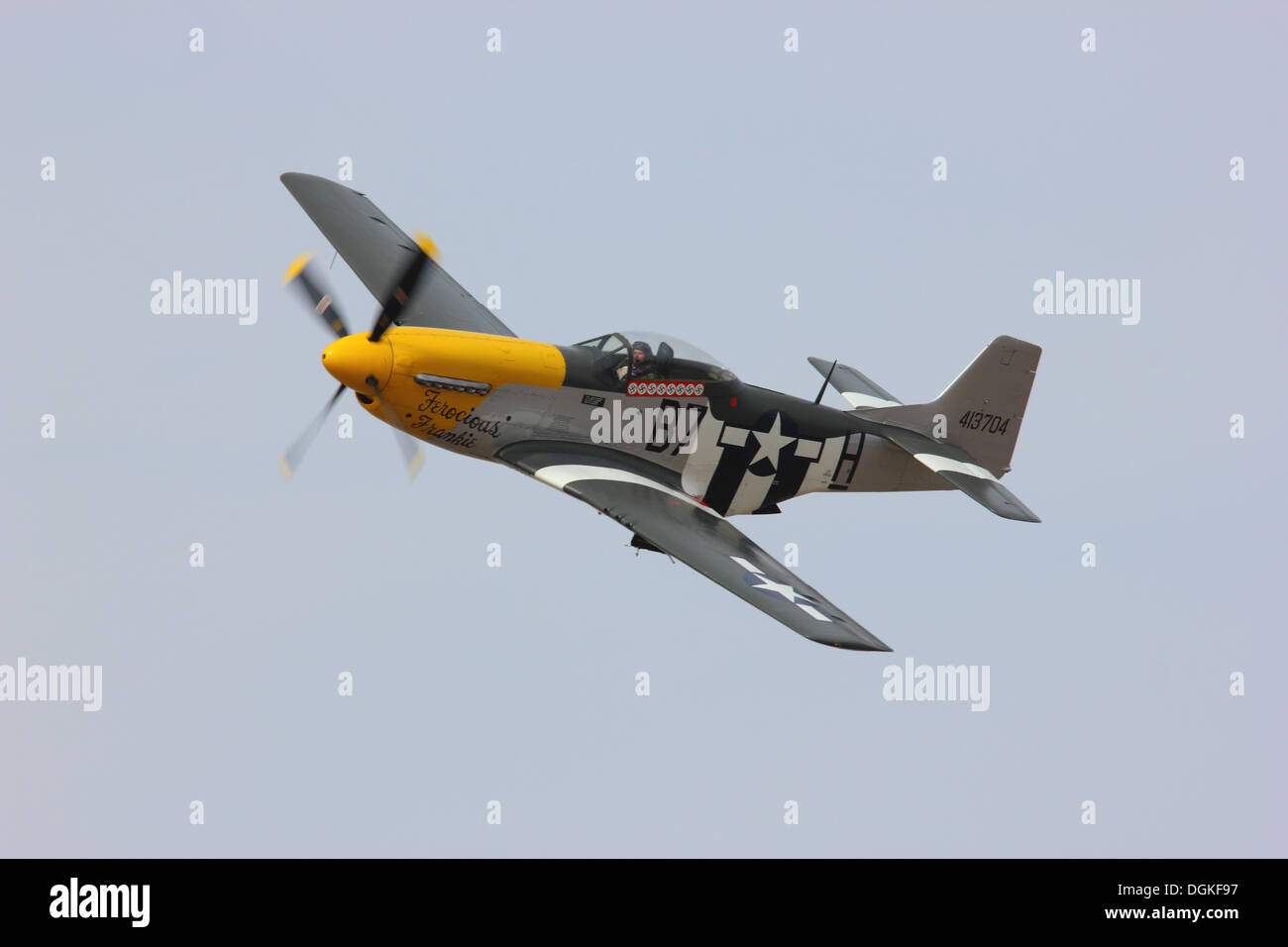 P51 Mustang Banque D'Images