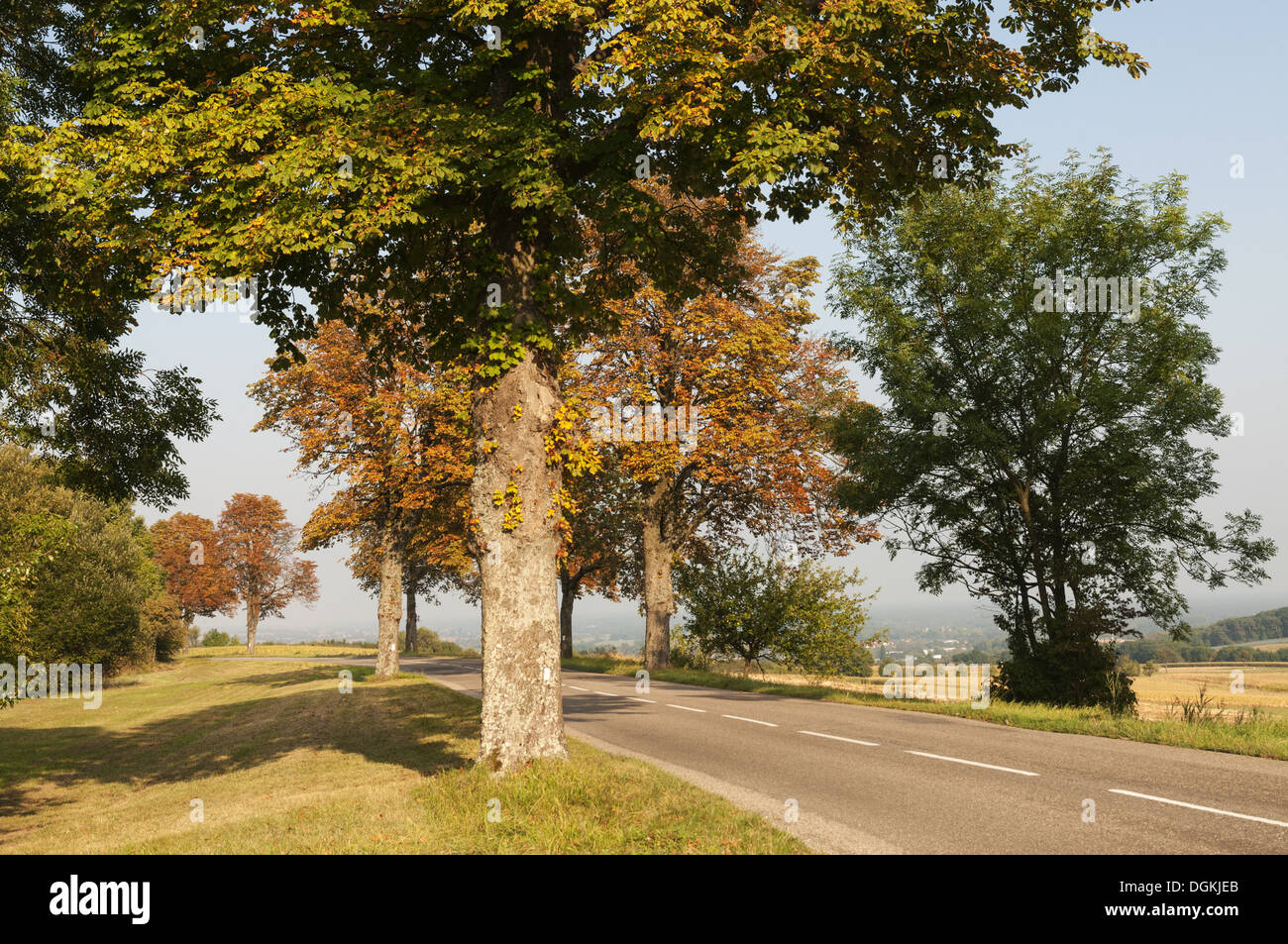 Elk213-1585 France, Alsace, Parc Régional des Vosges, l'autoroute et du paysage Banque D'Images