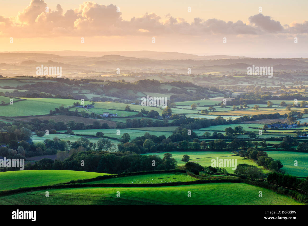 Tôt le matin, vue sur west Dorset de Pilson Pen hill fort qui est le point le plus élevé dans le Dorset. Banque D'Images