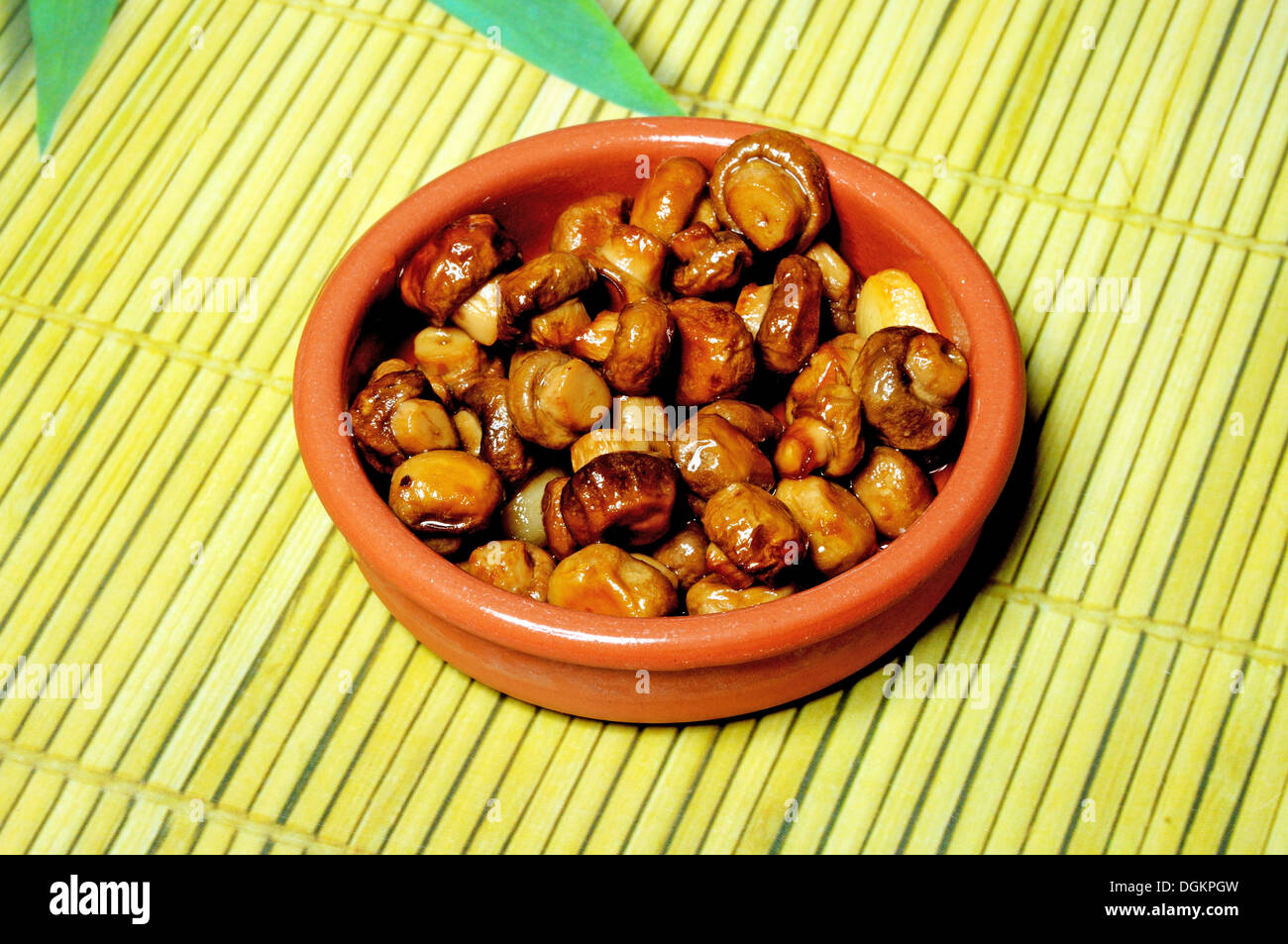 Ensemble de champignons et d'ail dans un plat en terre cuite, Andalousie, Espagne, Europe de l'Ouest. Banque D'Images