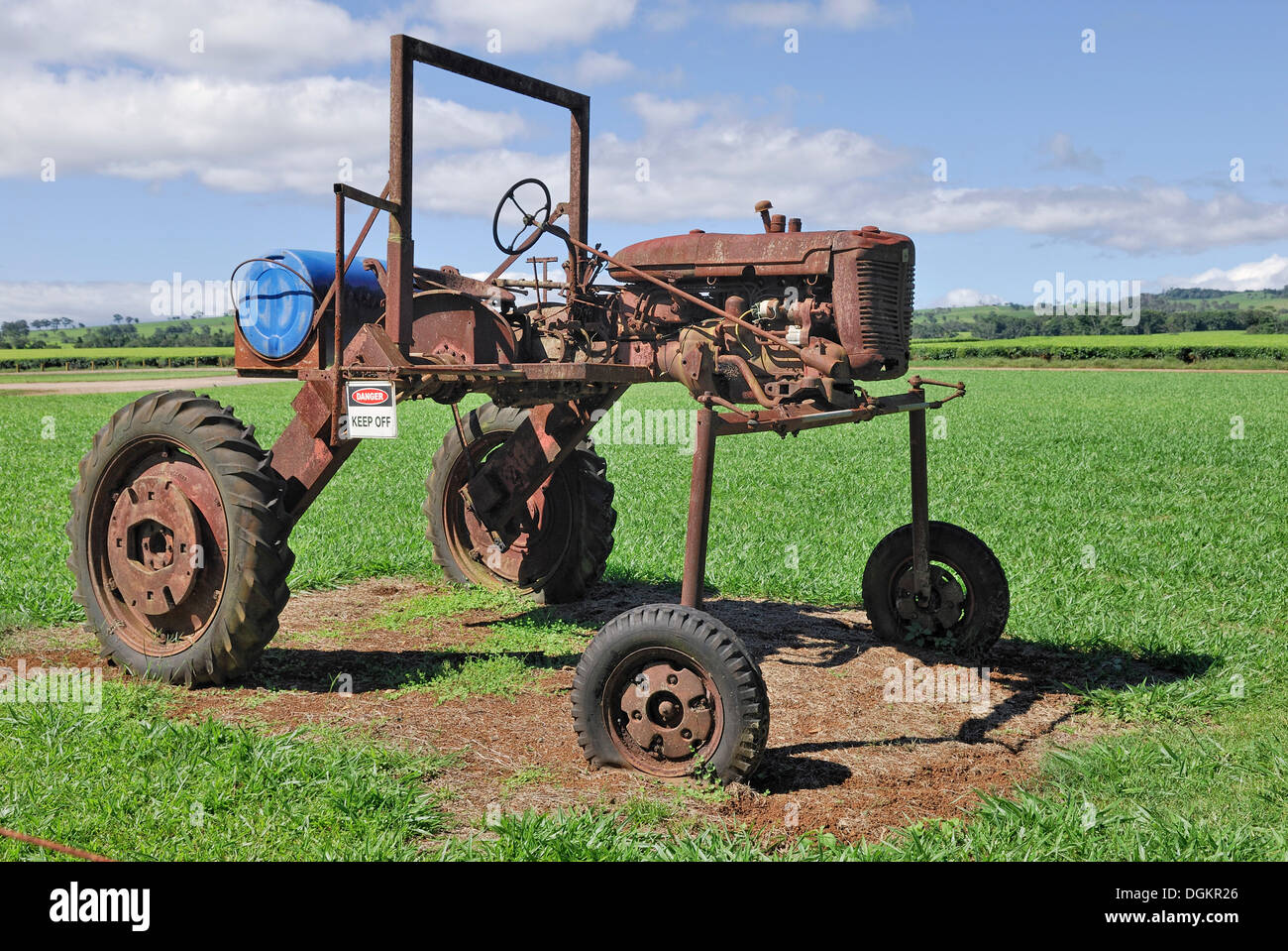 Tracteur abandonné pour la récolte de thé, plantation de thé Cybermen, Malanda, Atherton Tablelands,, Queensland, Australie Banque D'Images