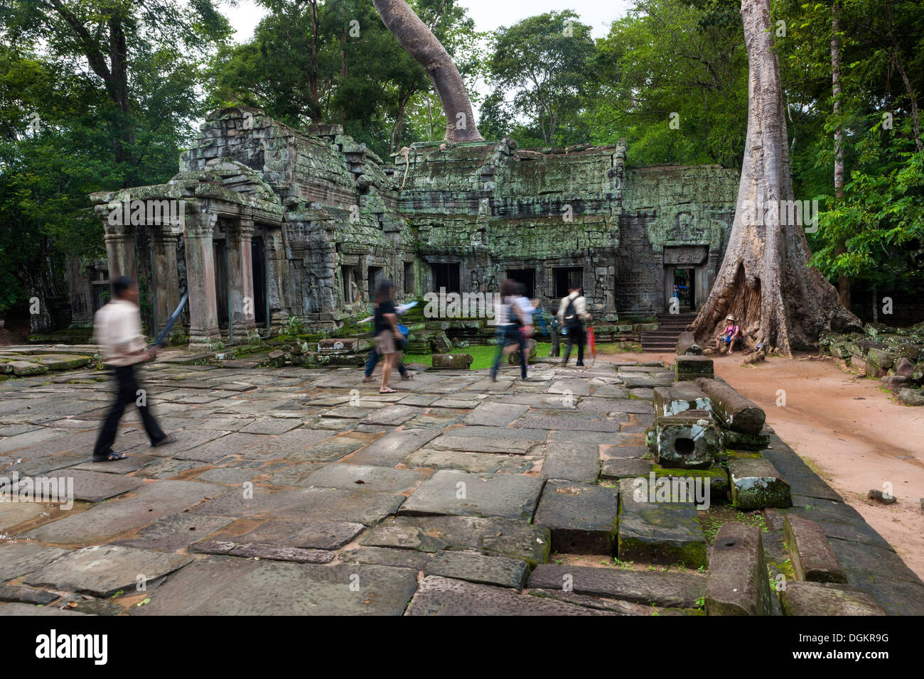 Groupe de touristes visite les ruines de Ta Prohm temple. Banque D'Images