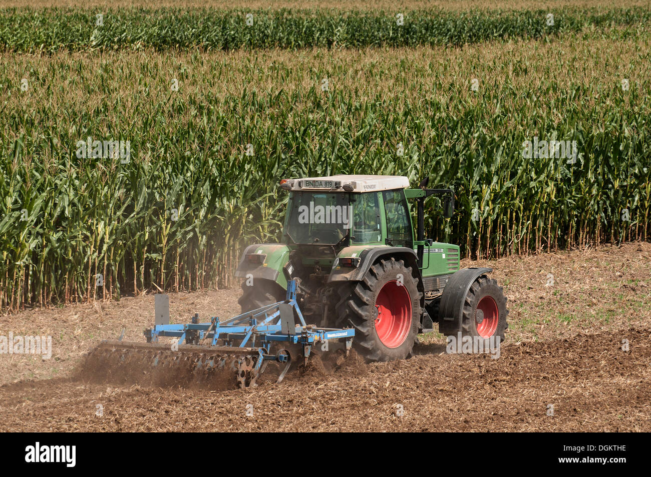 Tracteur avec un cultivateur en face d'un champ de maïs (Zea mays ssp. Mays), PublicGround Banque D'Images
