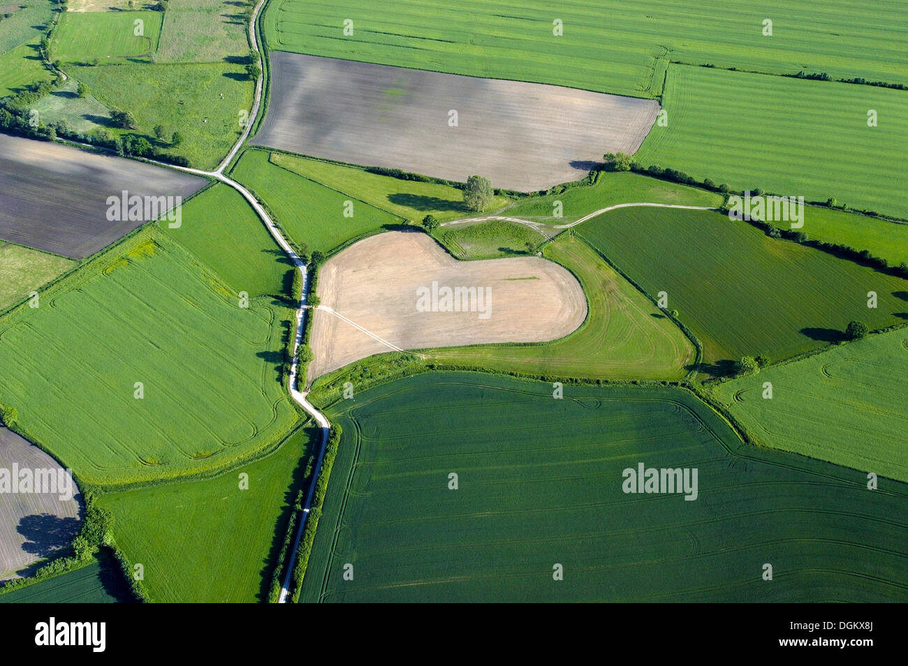 Vue aérienne d'un champ en forme de cœur, de l'agriculture avec l'insuffisance cardiaque, Trittau, Schleswig-Holstein, Allemagne Banque D'Images