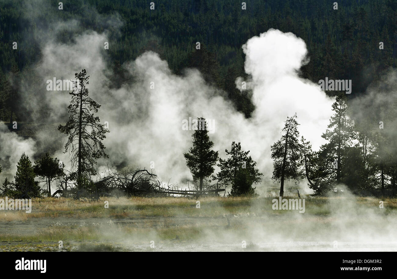 La vapeur sources géothermiques et les geysers, rivière Firehole, Midway Geyser Basin, Parc National de Yellowstone, Wyoming Banque D'Images