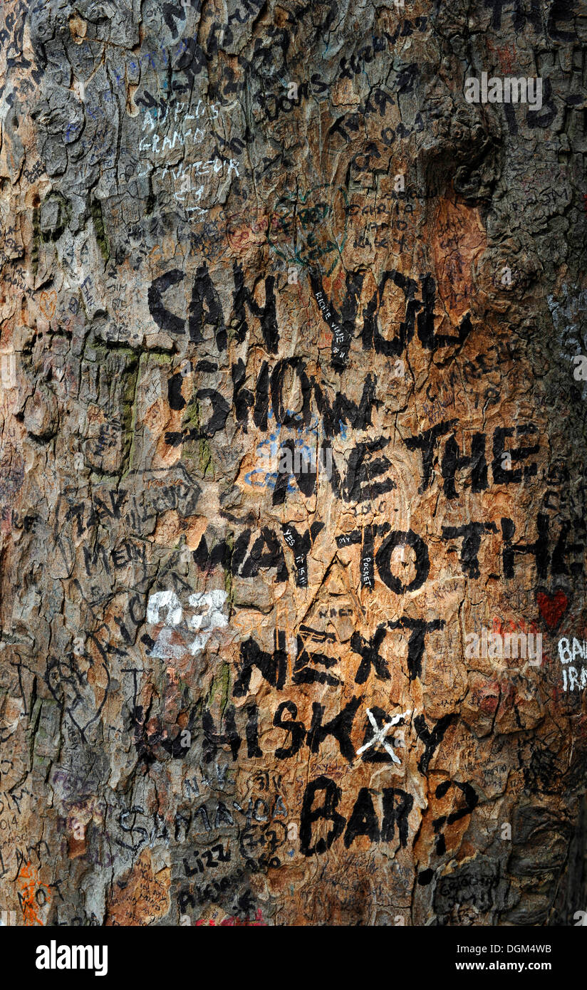 Des graffitis et des messages sur un tronc d'arbre près de la tombe de Jim Morrison, cimetière du Père Lachaise, Paris, France, Europe Banque D'Images