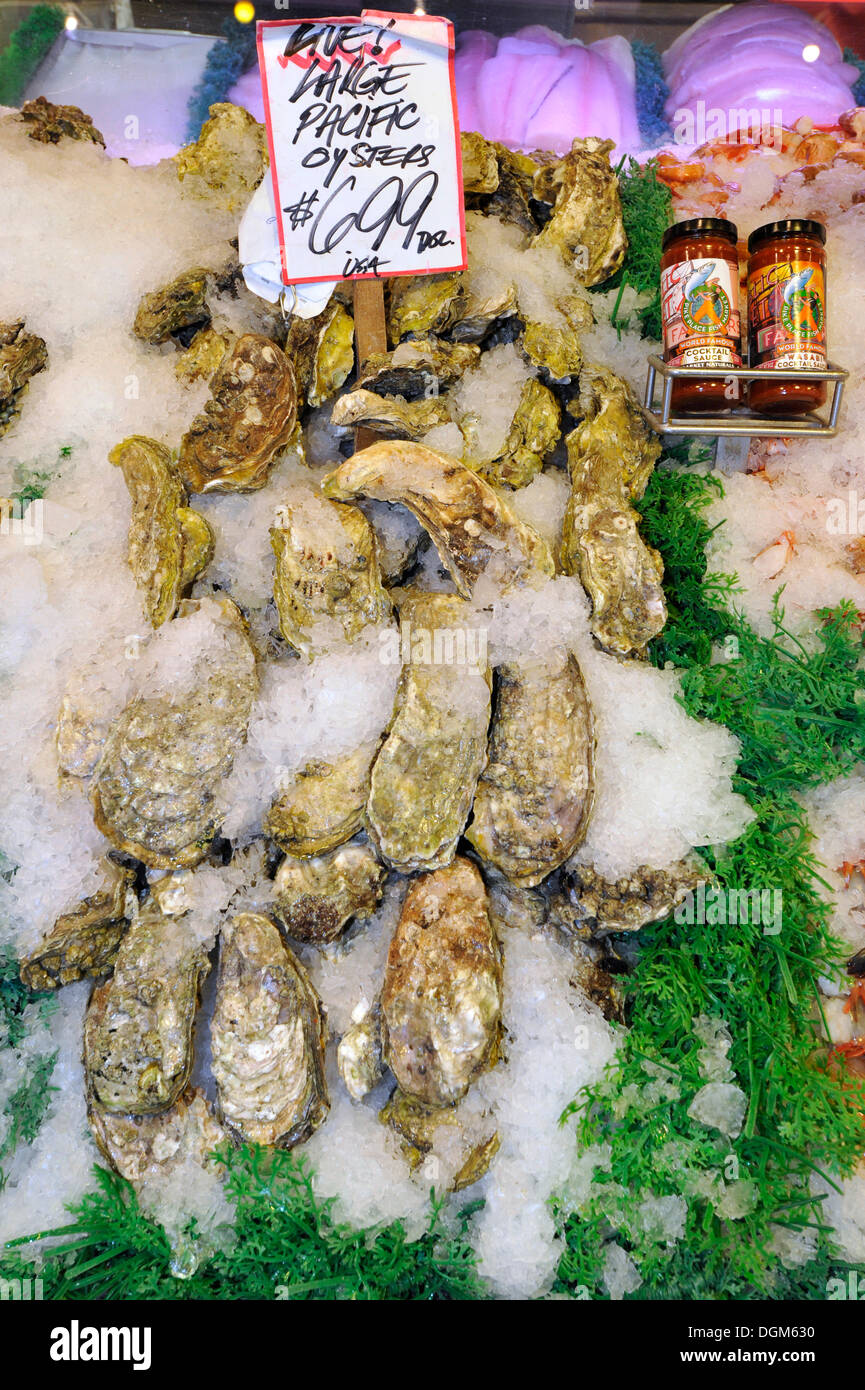 Frais de grandes huîtres du Pacifique sur la glace, le Pike Place Market, marché, marché aux poissons, Seattle, Washington, États-Unis d'Amérique Banque D'Images