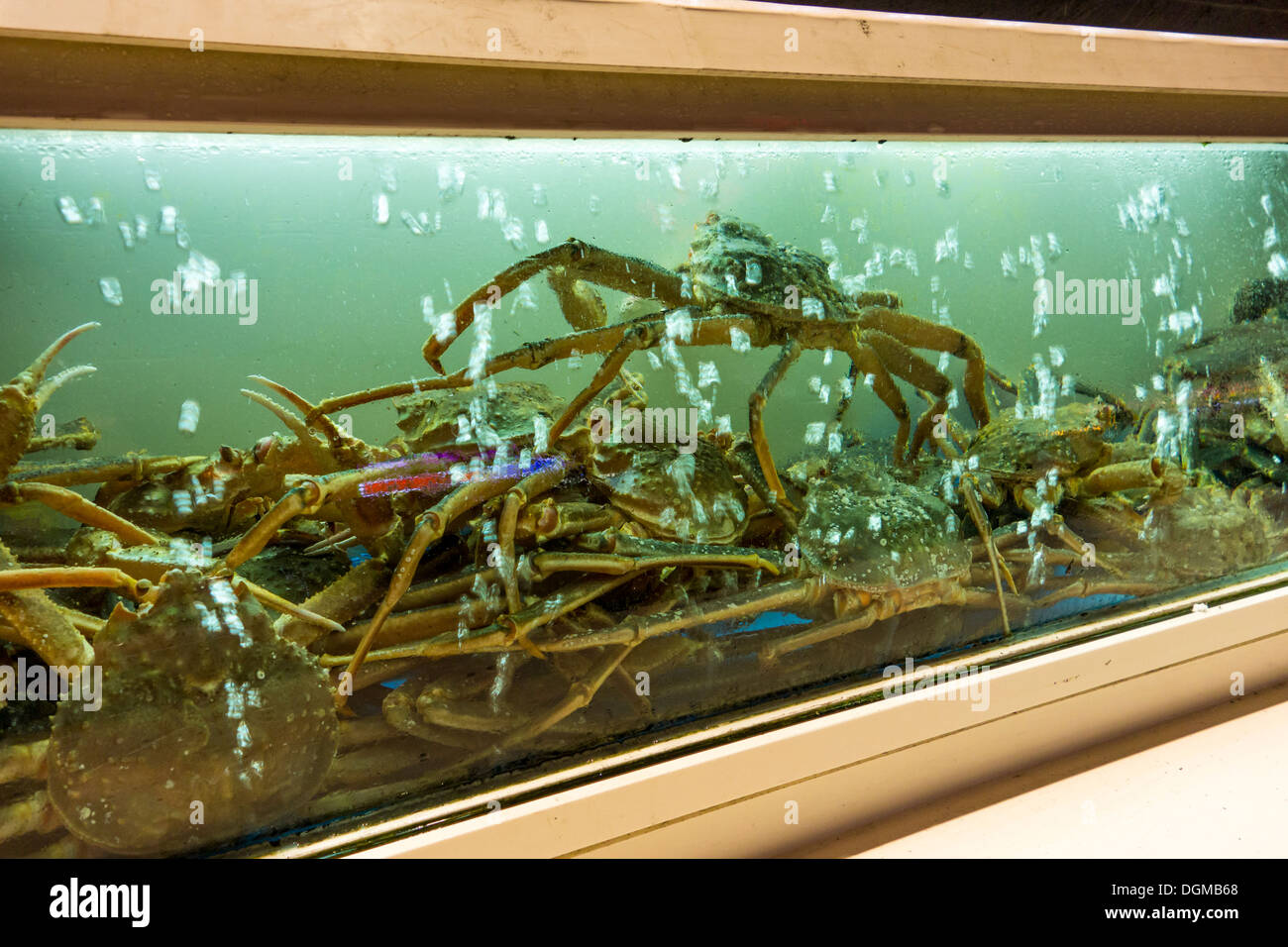 Les crabes vivent dans le réservoir au restaurant de fruits de mer à Séoul, Corée Banque D'Images