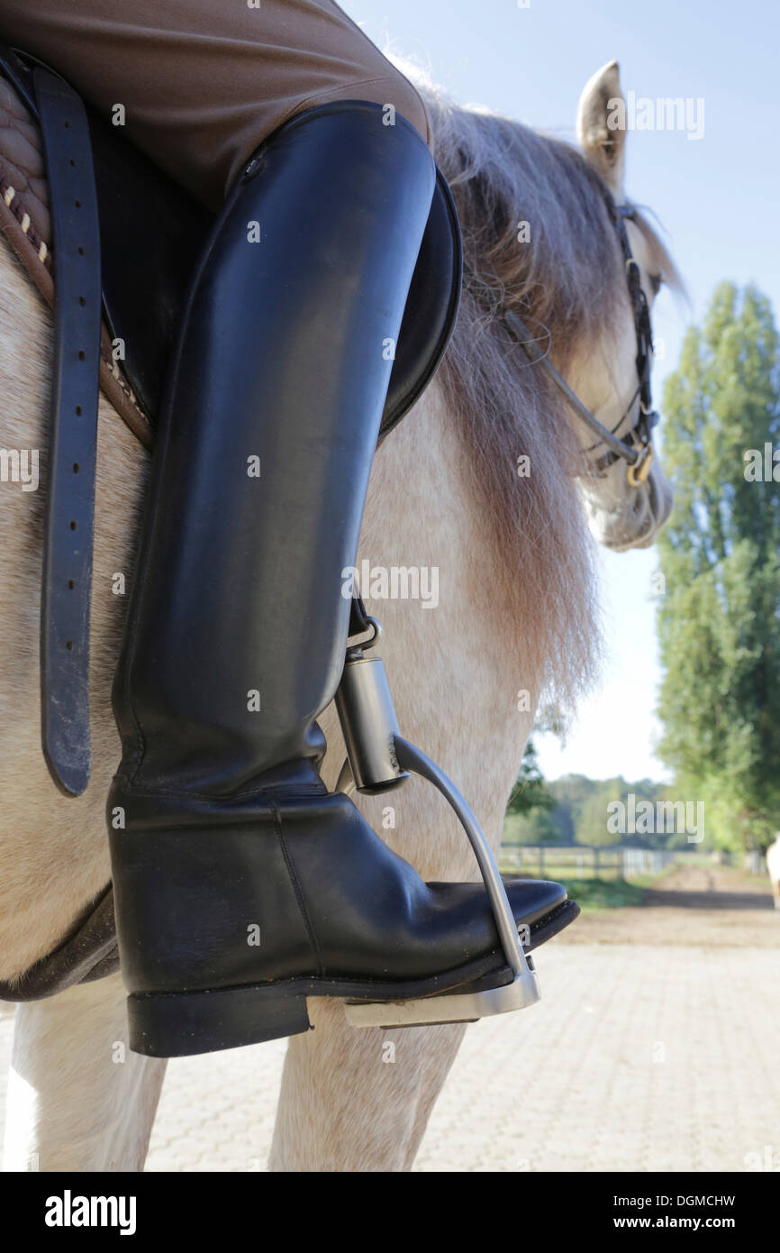 Bottine de cheval sale