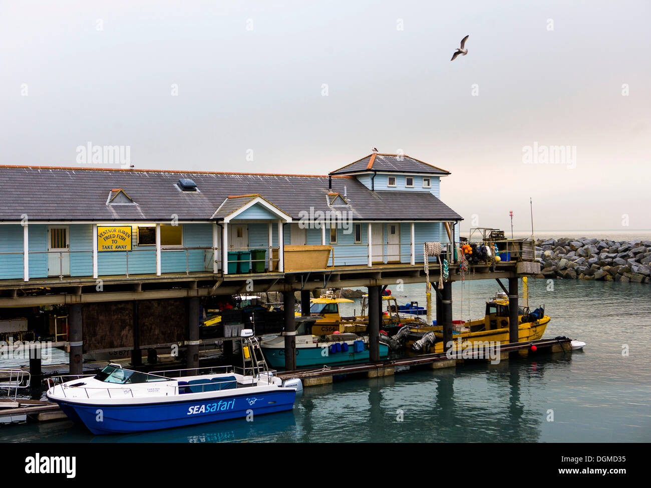 Port de Ventnor, île de Wight, Angleterre, Royaume-Uni, Europe Banque D'Images