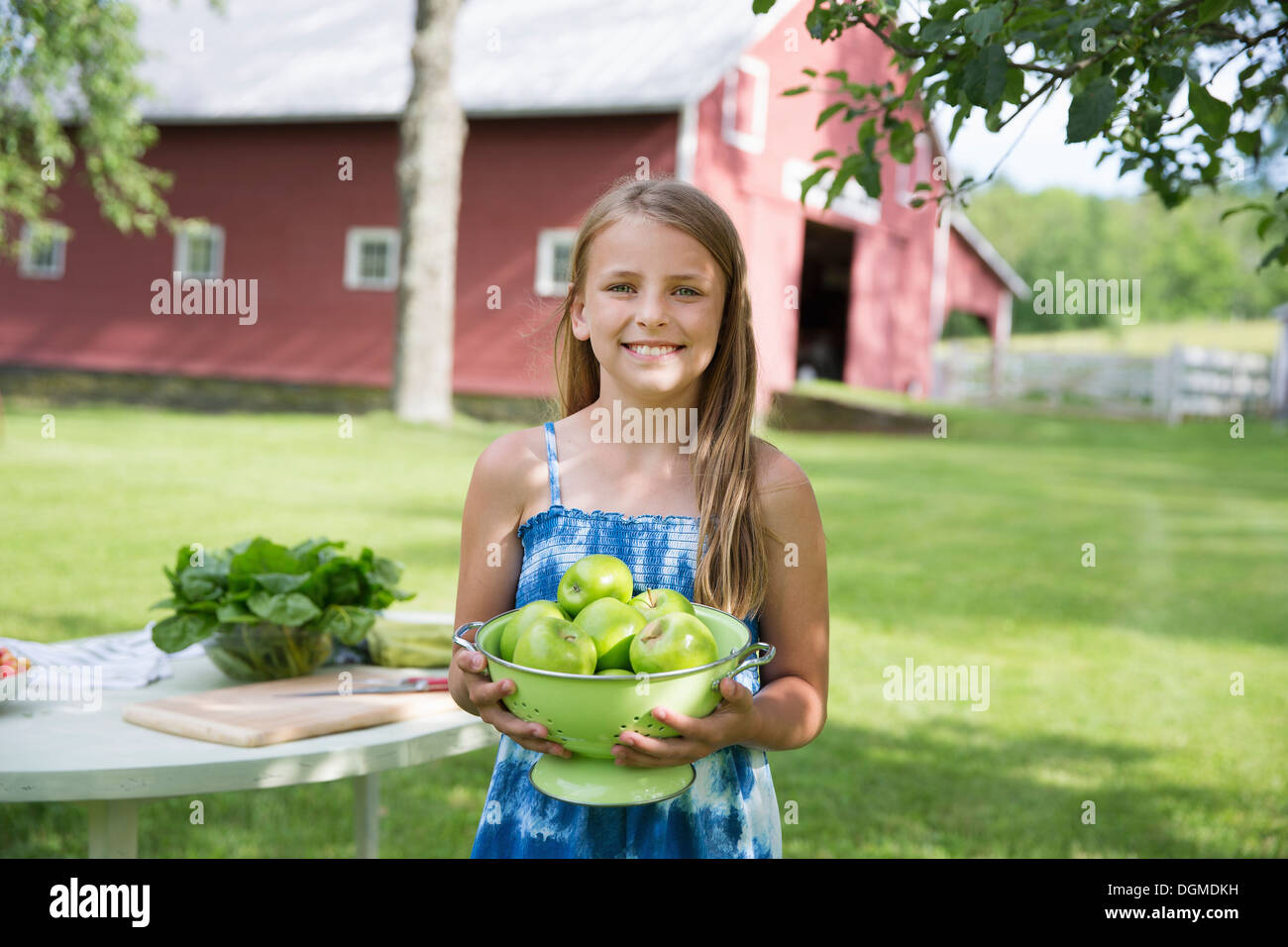 Partie de la famille. Une jeune fille aux longs cheveux blonds portant une robe d'été bleu, portant un grand bol de pommes à peau verte croquante. Banque D'Images
