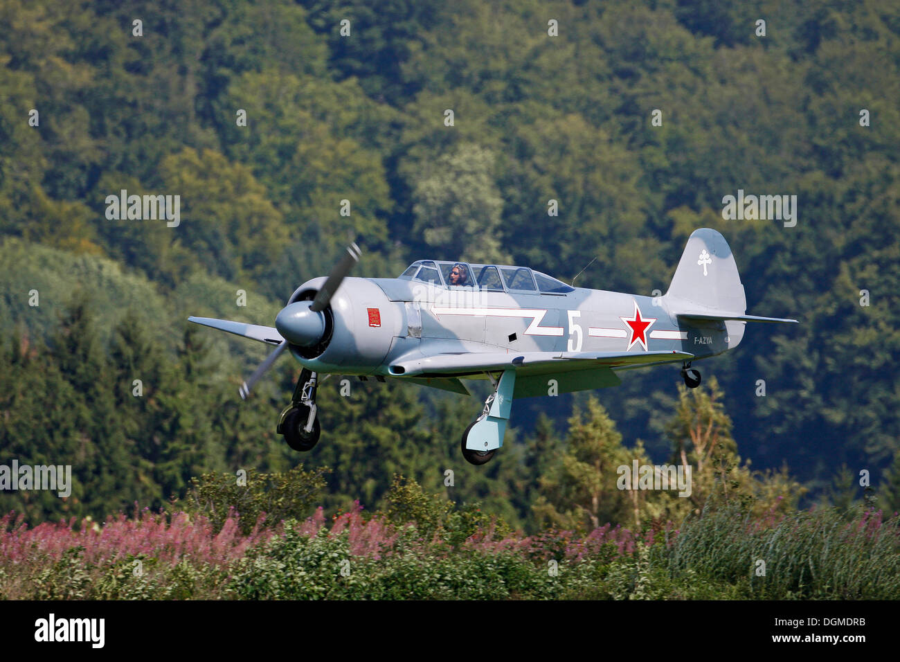 Des avions d'époque, Yakovlev Yak 52, 2010 Airshow Breitscheid, Hesse Banque D'Images