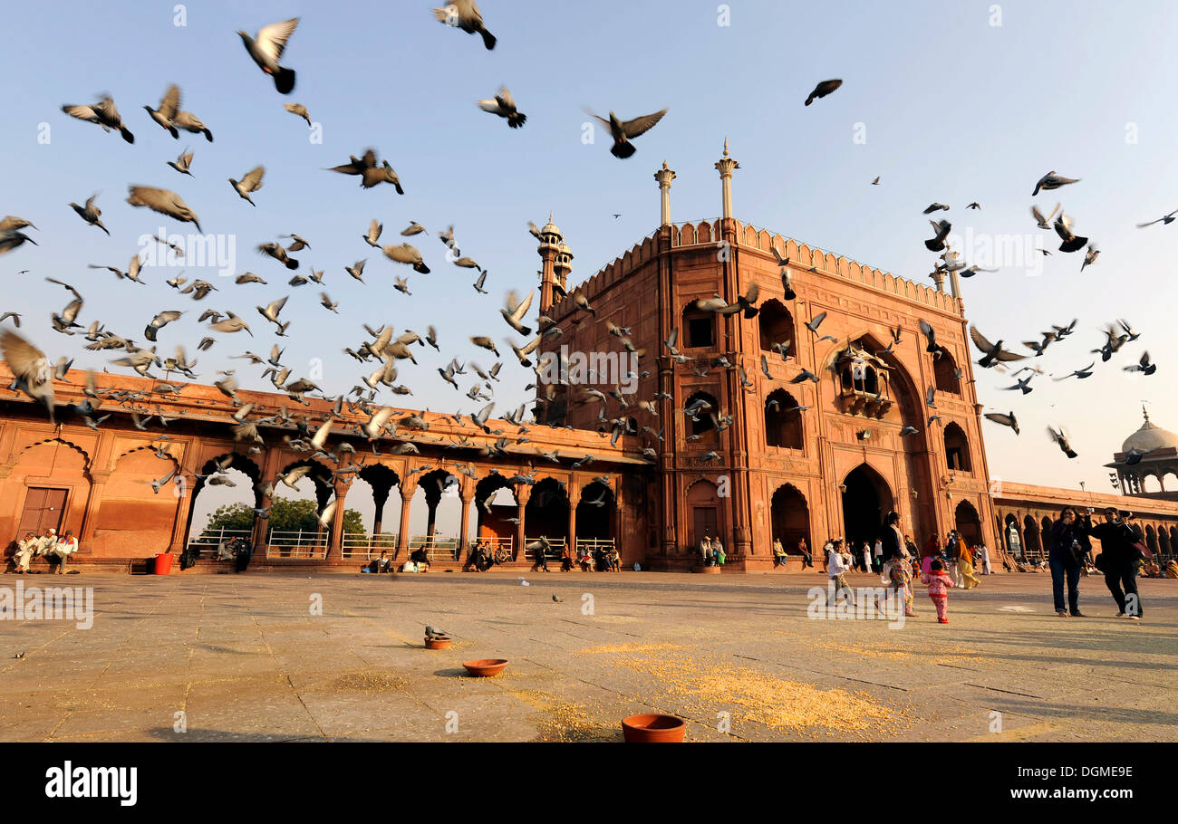 Porte principale de la mosquée de vendredi Jama Masjid, Old Delhi, Delhi, de l'Uttar Pradesh, Inde du Nord, Inde, Asie du Sud, Asie Banque D'Images