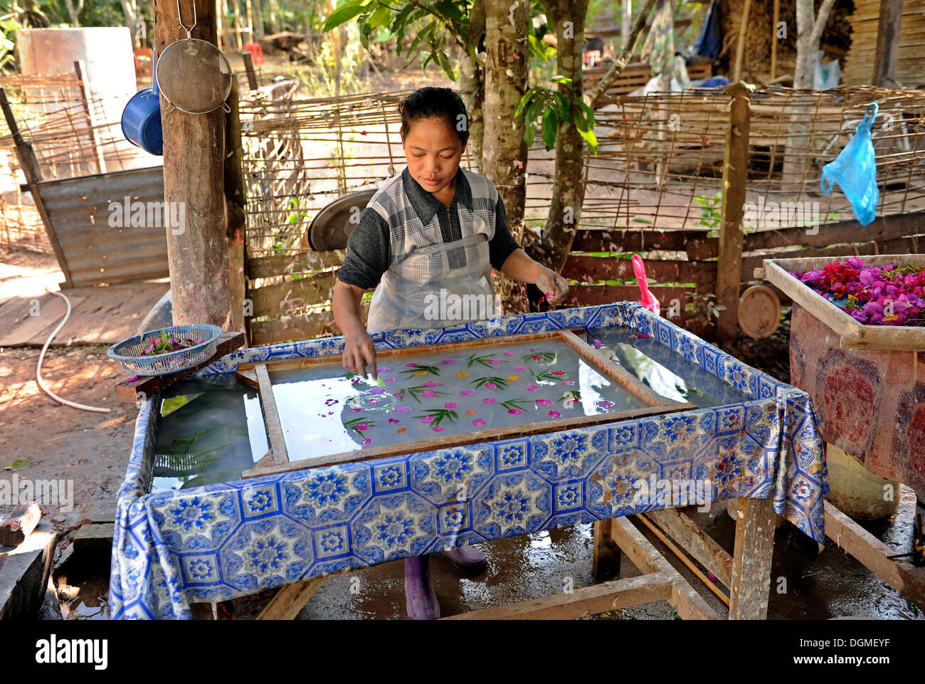 Les femmes La fabrication du papier à partir du bois de mûriers, Ban Xang Khong, Luang Prabang, Laos, Asie du sud-est Banque D'Images