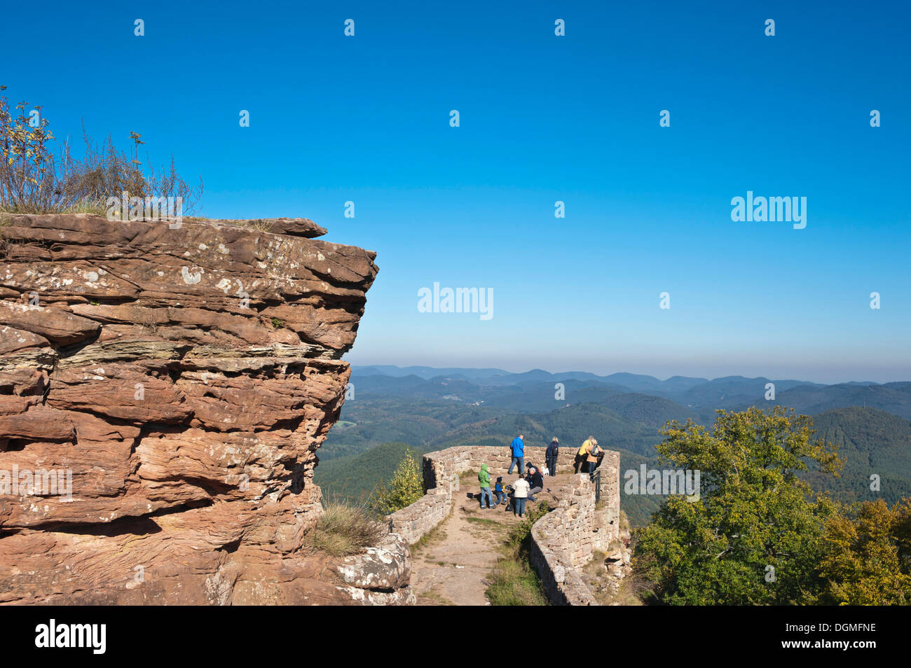 Wegelnburg Château, Nothweiler, Forêt du Palatinat, Palatinat, Rhénanie-Palatinat Banque D'Images