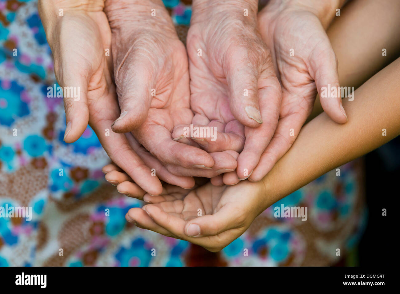 Les mains d'un adulte, une femme âgée et un enfant Banque D'Images