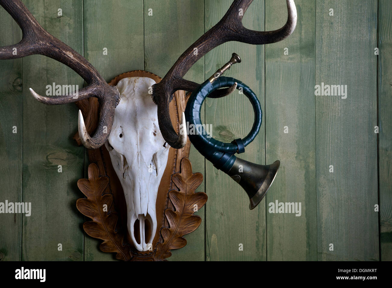 Ancien cor de chasse suspendu à l'andouiller de cerf rouge un contre un mur en bois vert, Allemagne Banque D'Images