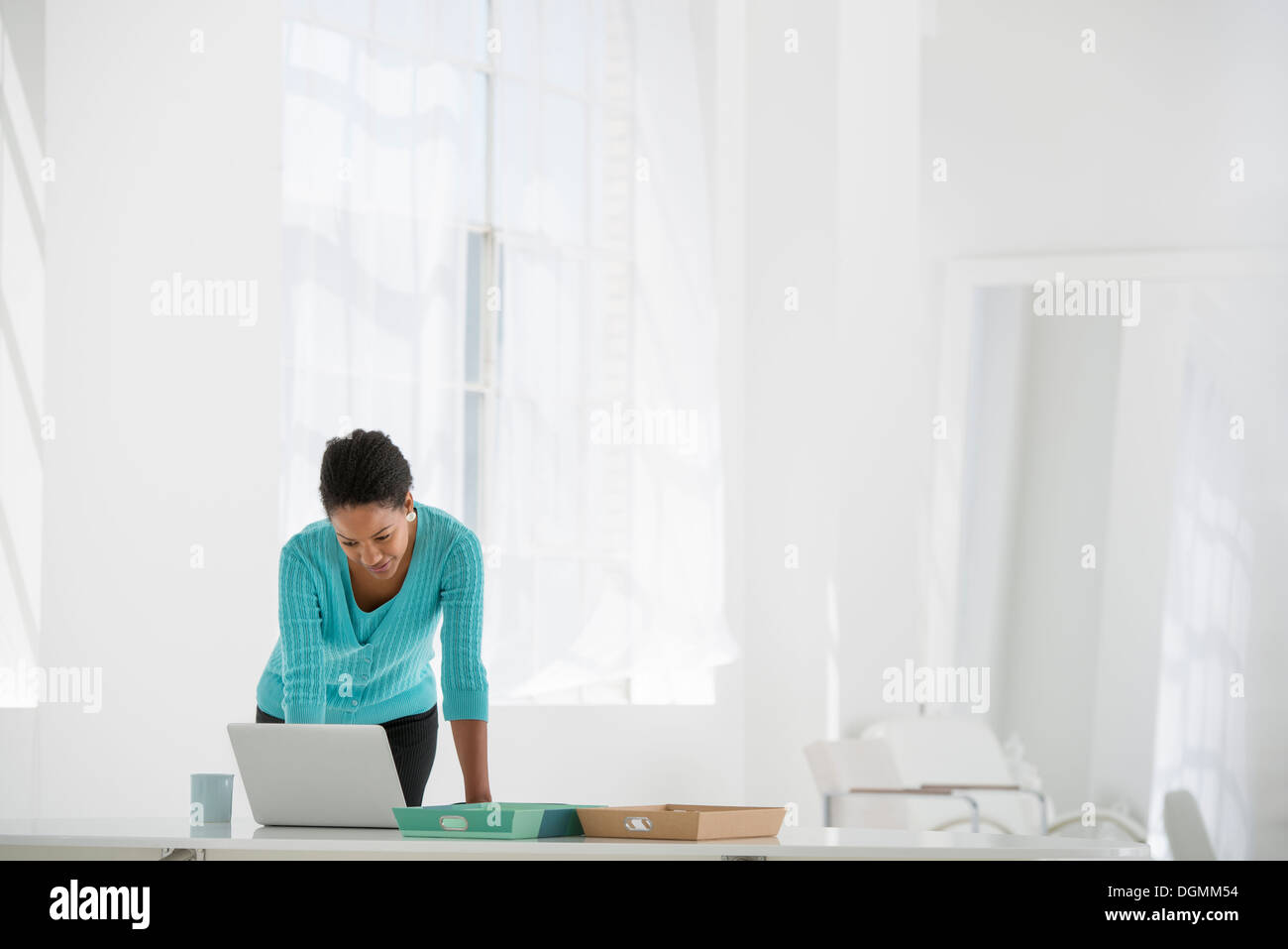 L'entreprise. Une femme se penche au-dessus d'un bureau à l'aide d'un ordinateur portable. Banque D'Images L'entreprise. Une femme se penche au-dessus d'un bureau à l'aide d'un ordinateur portable. Banque D'Images