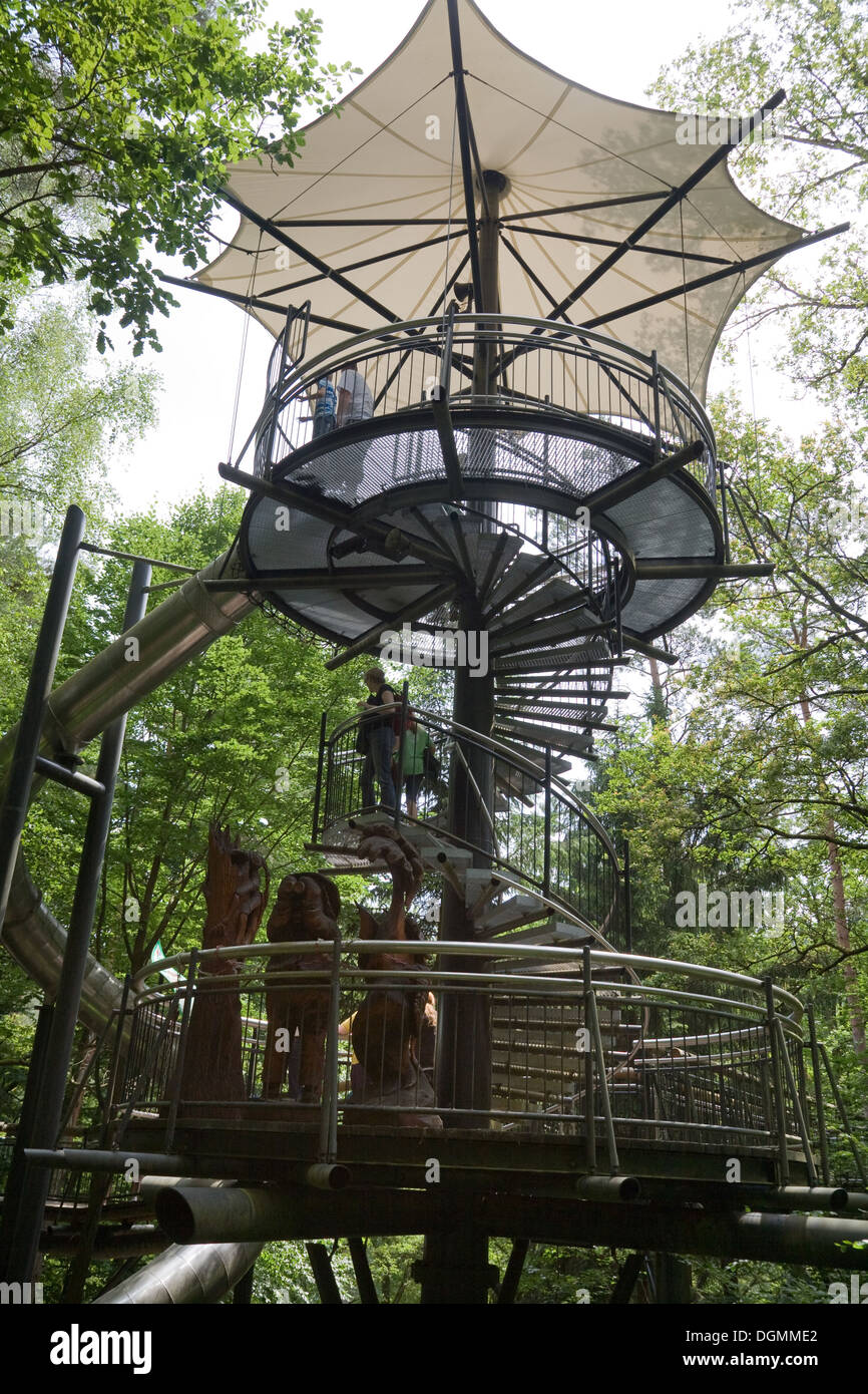 Fischbach, l'Allemagne, le chemin de la cime des arbres dans la biosphère Pfaelzerwald Banque D'Images