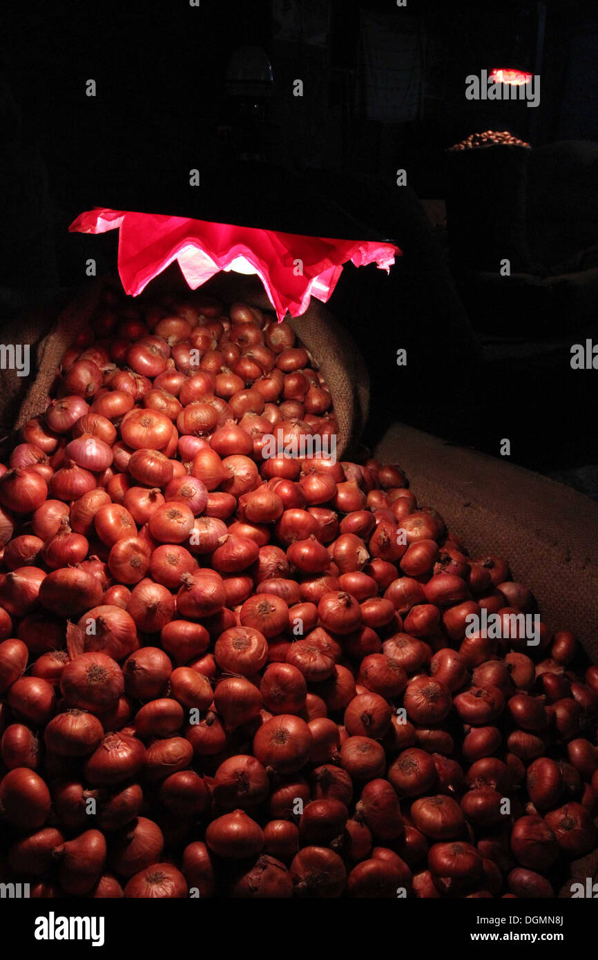 Les commerçants d'oignon au bazar Kawran légumes à Dhaka. Banque D'Images