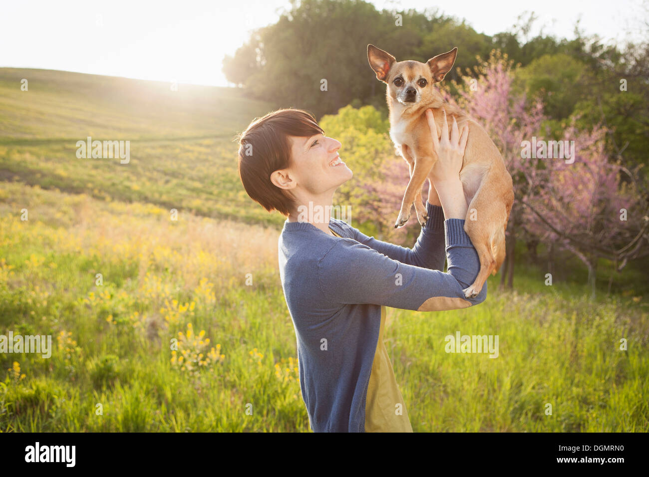 Une jeune femme dans les champs au printemps. Tenant un petit chihuahua chien dans ses bras. Un animal de compagnie. Banque D'Images